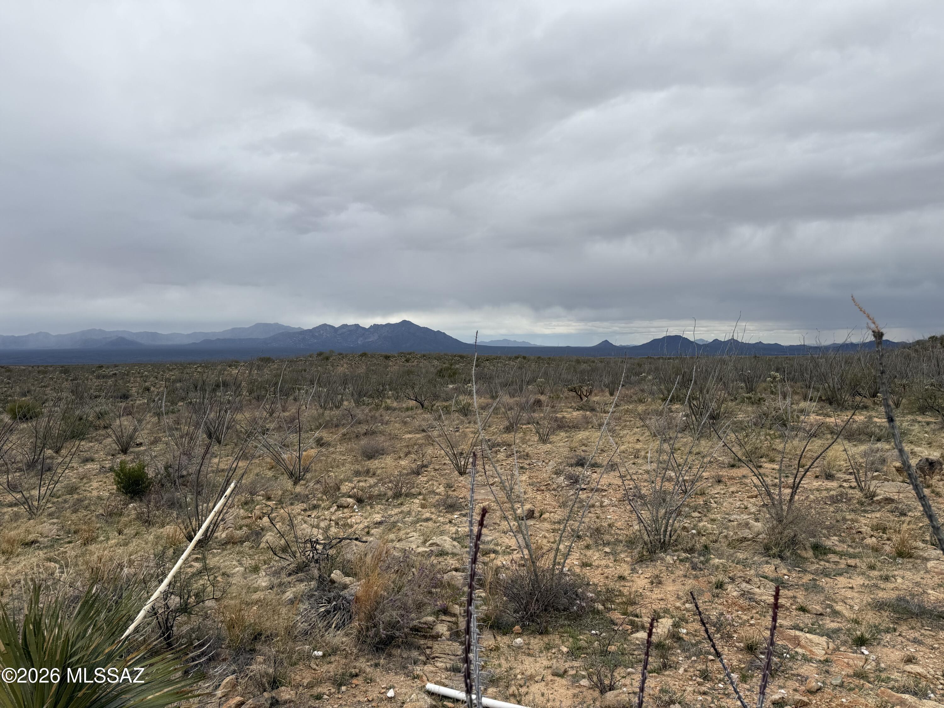 Discover the space, privacy, and potential you've been searching for at 16300 S Alsip Street. This expansive 30-acre parcel in Pima County offers desirable RH zoning, opening the door to a variety of possibilities. Enjoy breathtaking mountain views in every direction, with iconic saguaros dotting the landscape and creating a true Sonoran Desert setting. The property is already equipped with valuable infrastructure, including a full-size septic tank and a 585-foot well drilled into granite, complete with a pump installed at the bottom. The water level was last measured at just 50 feet, offering a strong foundation for your future plans. Whether you envision a custom home, ranch, or private desert retreat, this rare acreage combines beauty with ready to go infrastructure, see it today!