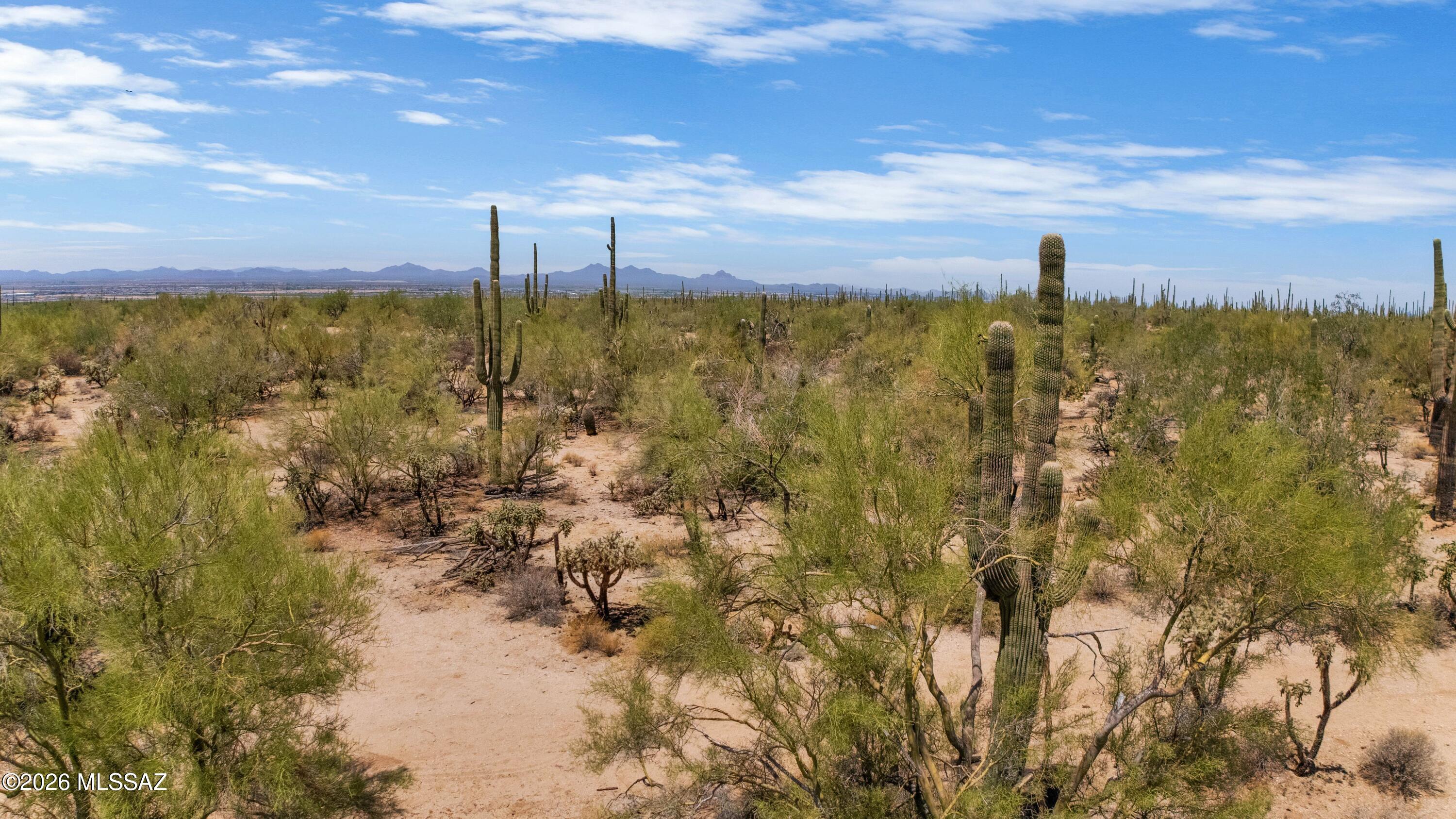 Saguaro Reserve II at Dove Mountain - Residential