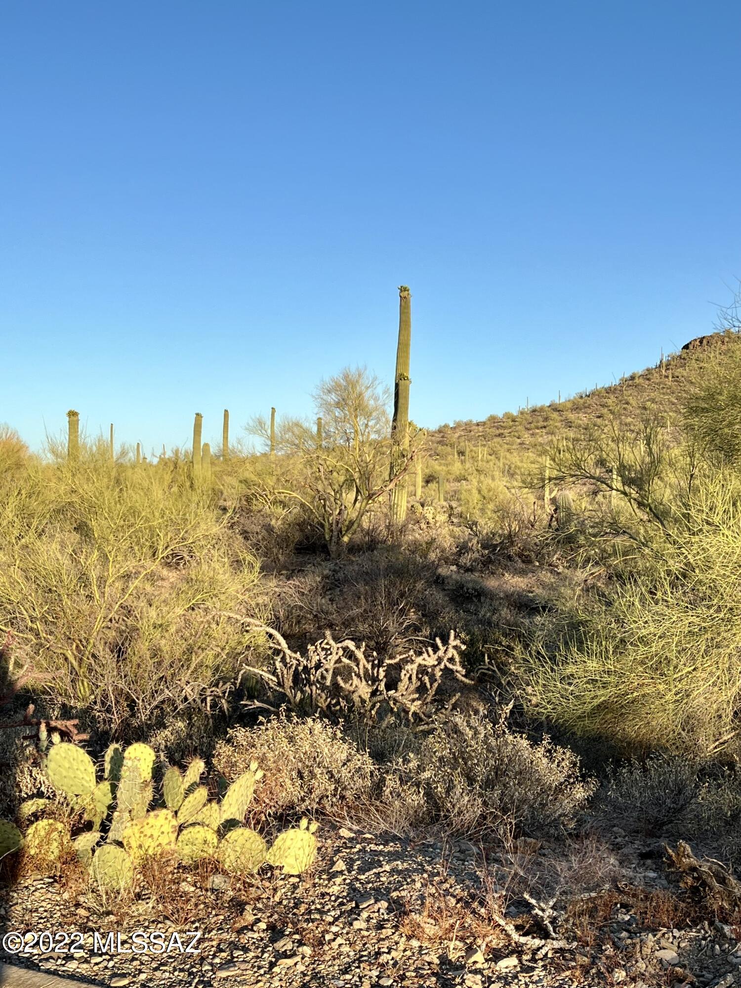 Tucson Avra West III Blk A (1-71) - Residential