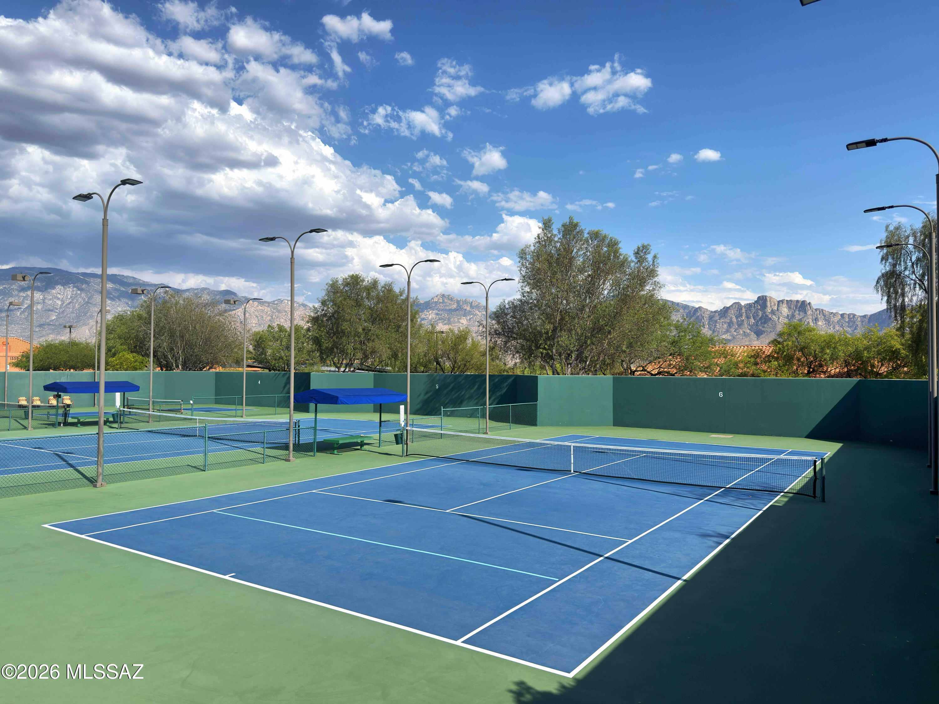 Sun City Vistoso Unit 17(1-276) - Residential