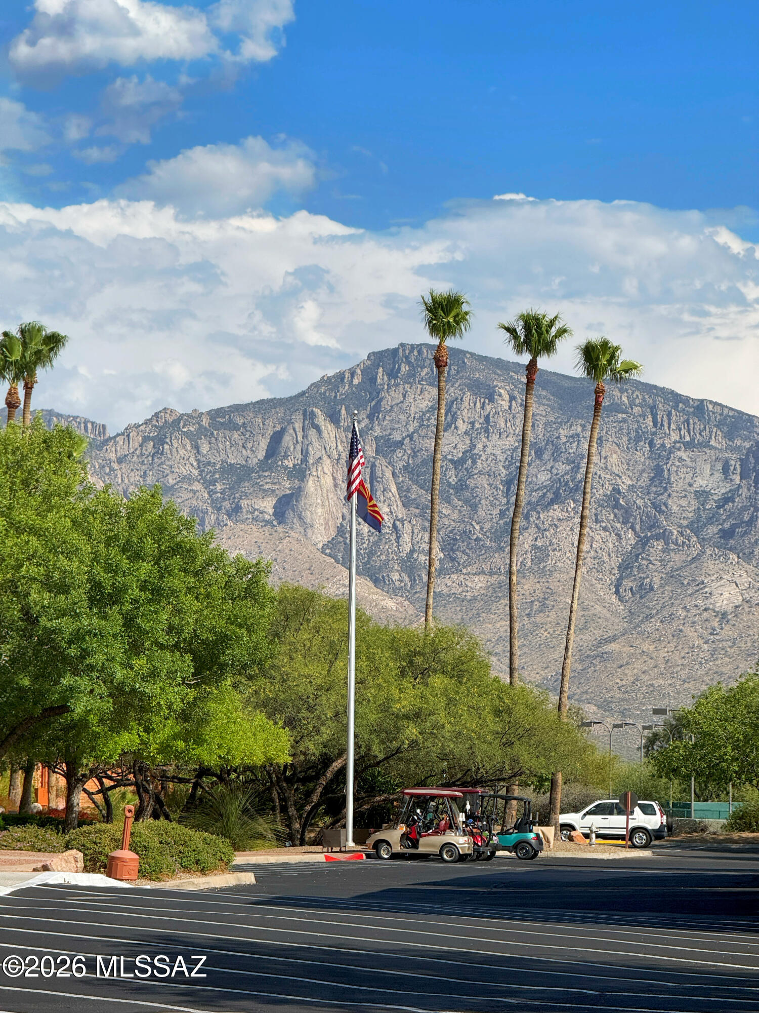 Sun City Vistoso Unit 17(1-276) - Residential