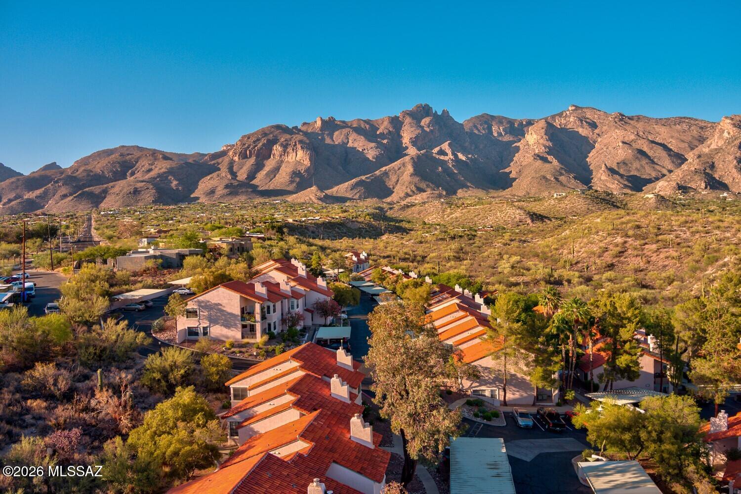 Come see this completely reimagined luxury condo with a true designer renovation. This Catalina Foothills condo features quartz kitchen counters, porcelain backsplash, & new Cafe appliances. Living area is anchored by a floor-to-ceiling tiled fireplace w/ electronic insert & a dining area w/ built-in soft close floating buffet cabinets. Wood look wide-plank flooring runs throughout. Bedroom features brand new custom built-ins w/ beverage fridge & coffee bar. Additional upgrades include plantation shutters, 30 new LED lights, newer HVAC / water heater, and more. THIS MUST SEE CONDO HAS TOO MANY UPGRADES TO LIST! Furniture available via a separate bill of sale. If you're looking for the best, turnkey, lock-and-leave condo Catalina Foothills has to offer, look no further!