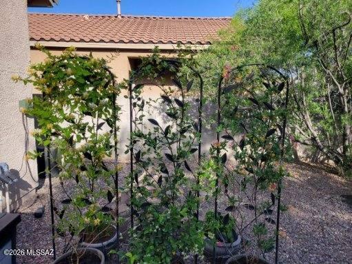 Rancho Sahuarita Presidio De Arboles (1-145) - Residential