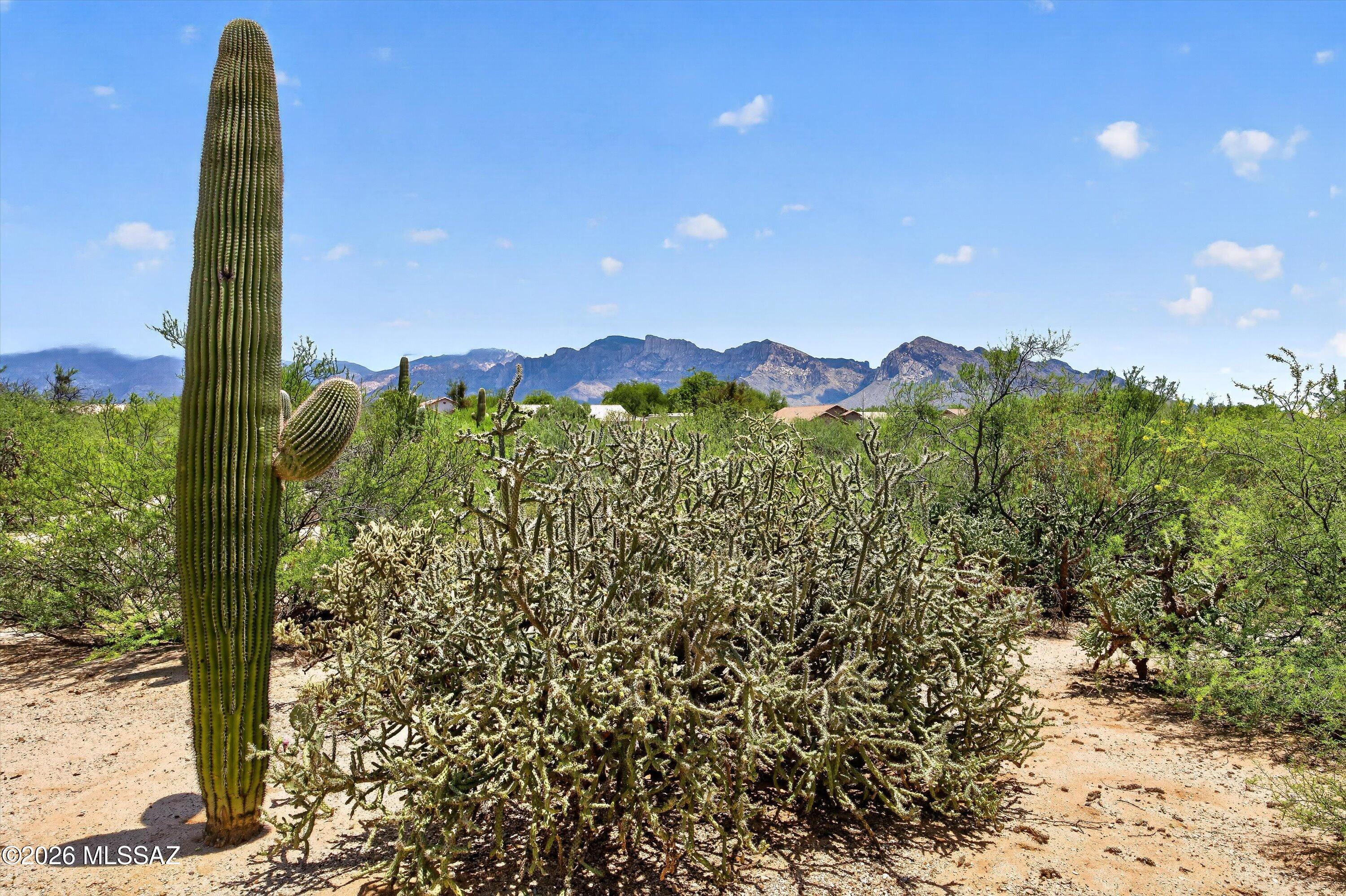 Desert Vista (1-205) - Residential