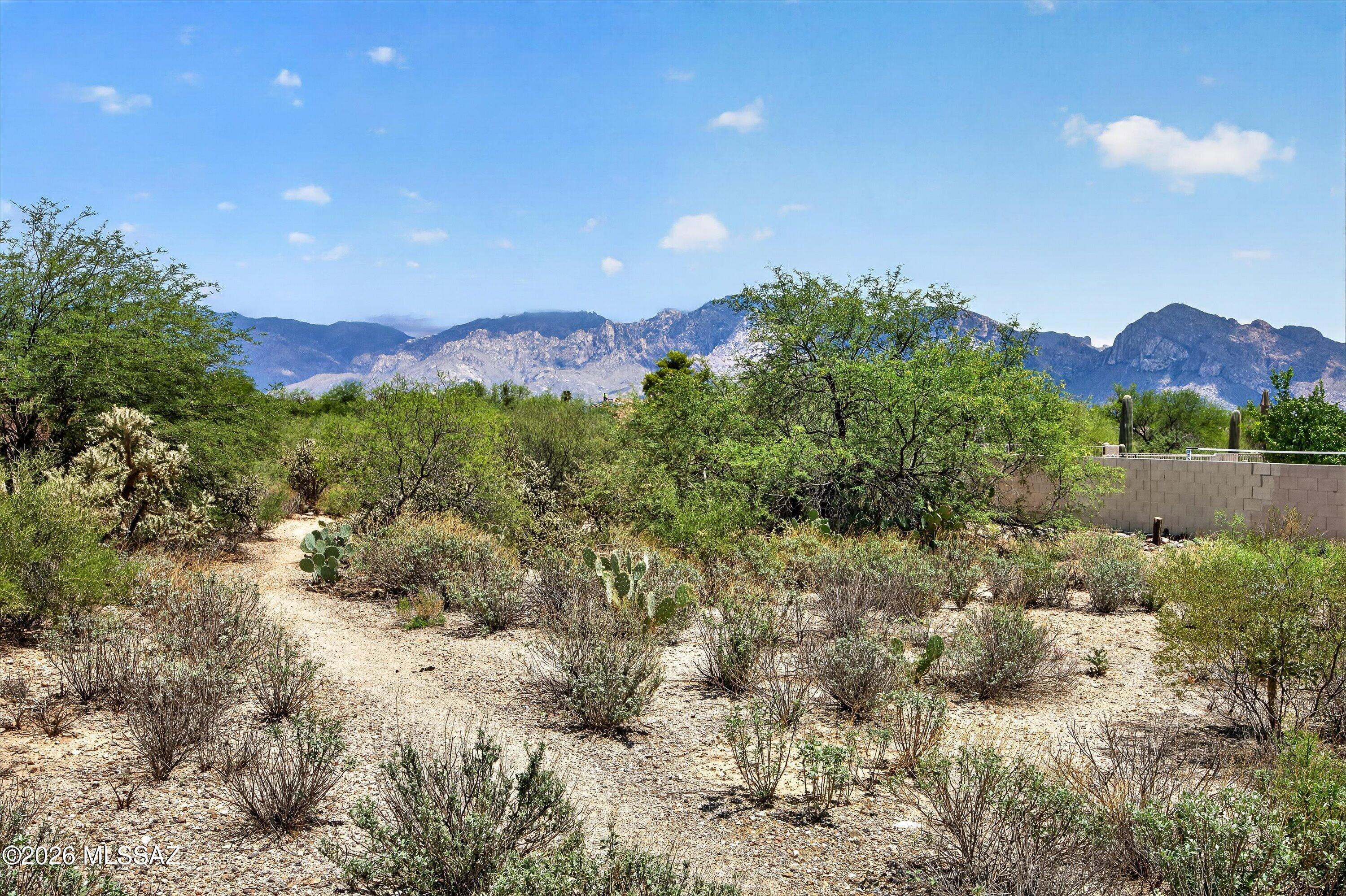Desert Vista (1-205) - Residential