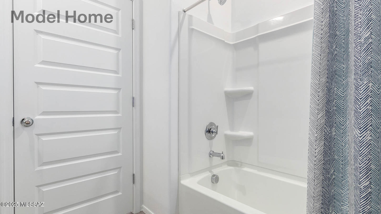 Saguaro Bloom SQ20180540069 - Residential