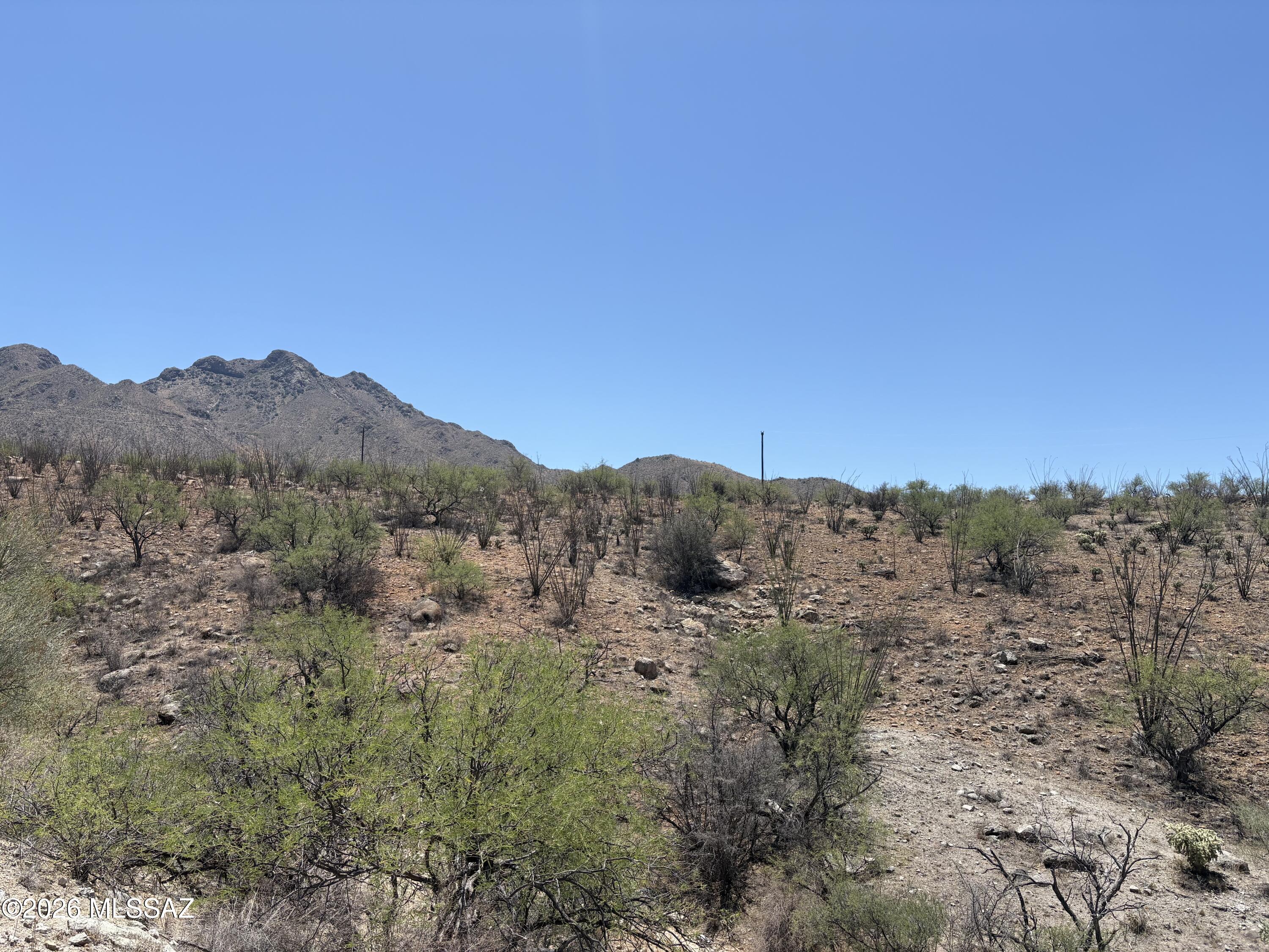 Rio Rico Ranchettes - Land