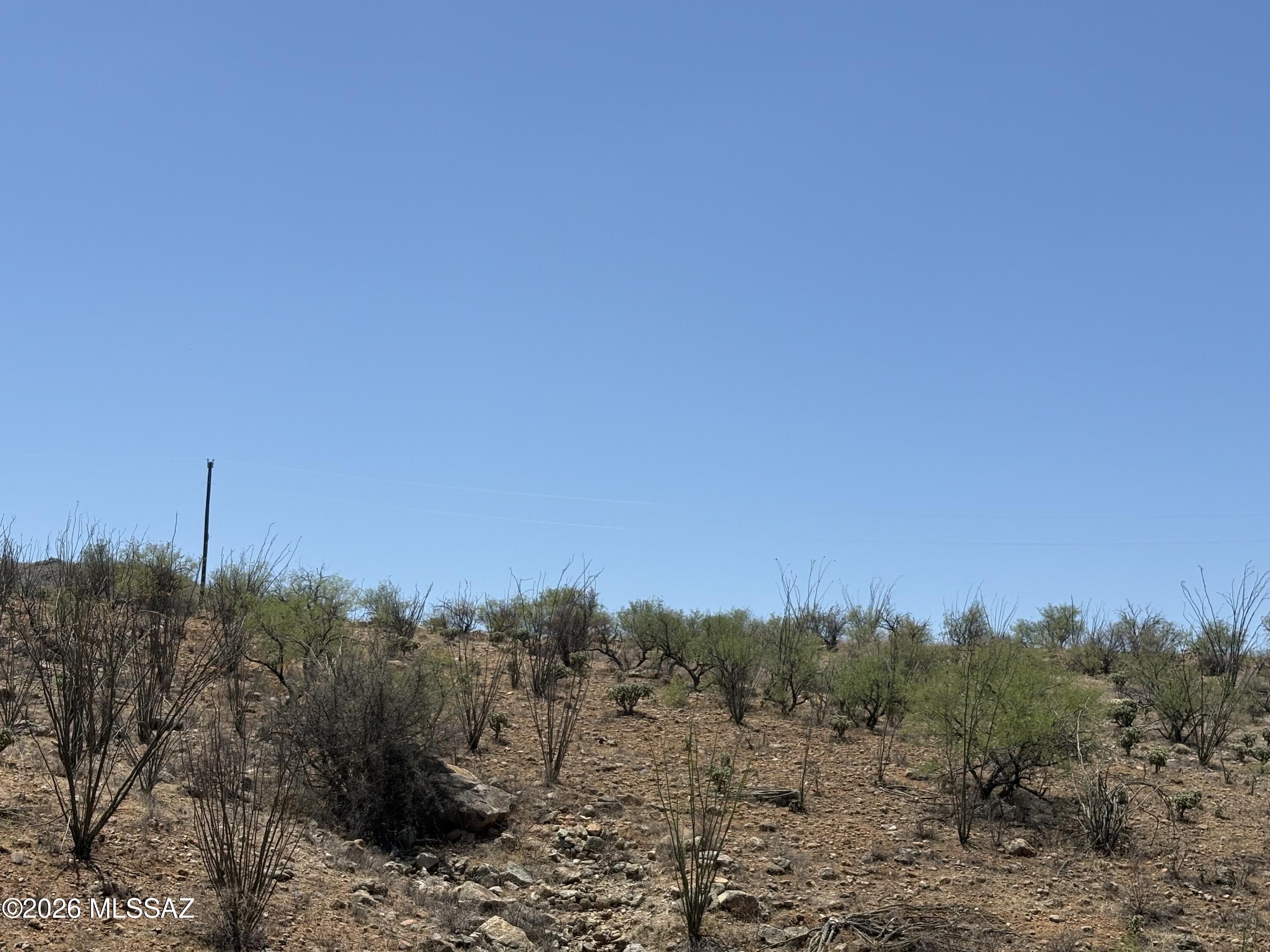 Rio Rico Ranchettes - Land
