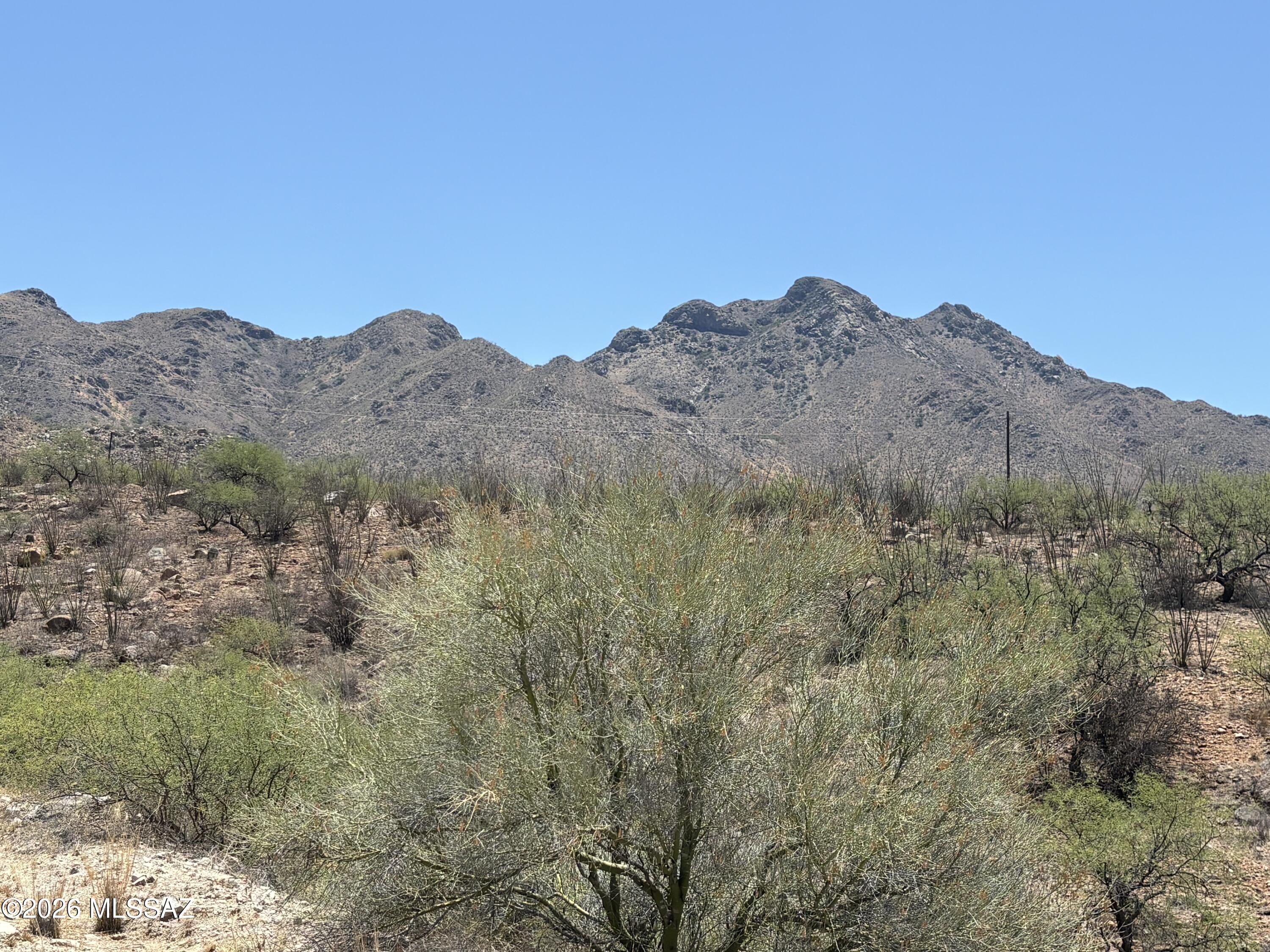 Rio Rico Ranchettes - Land