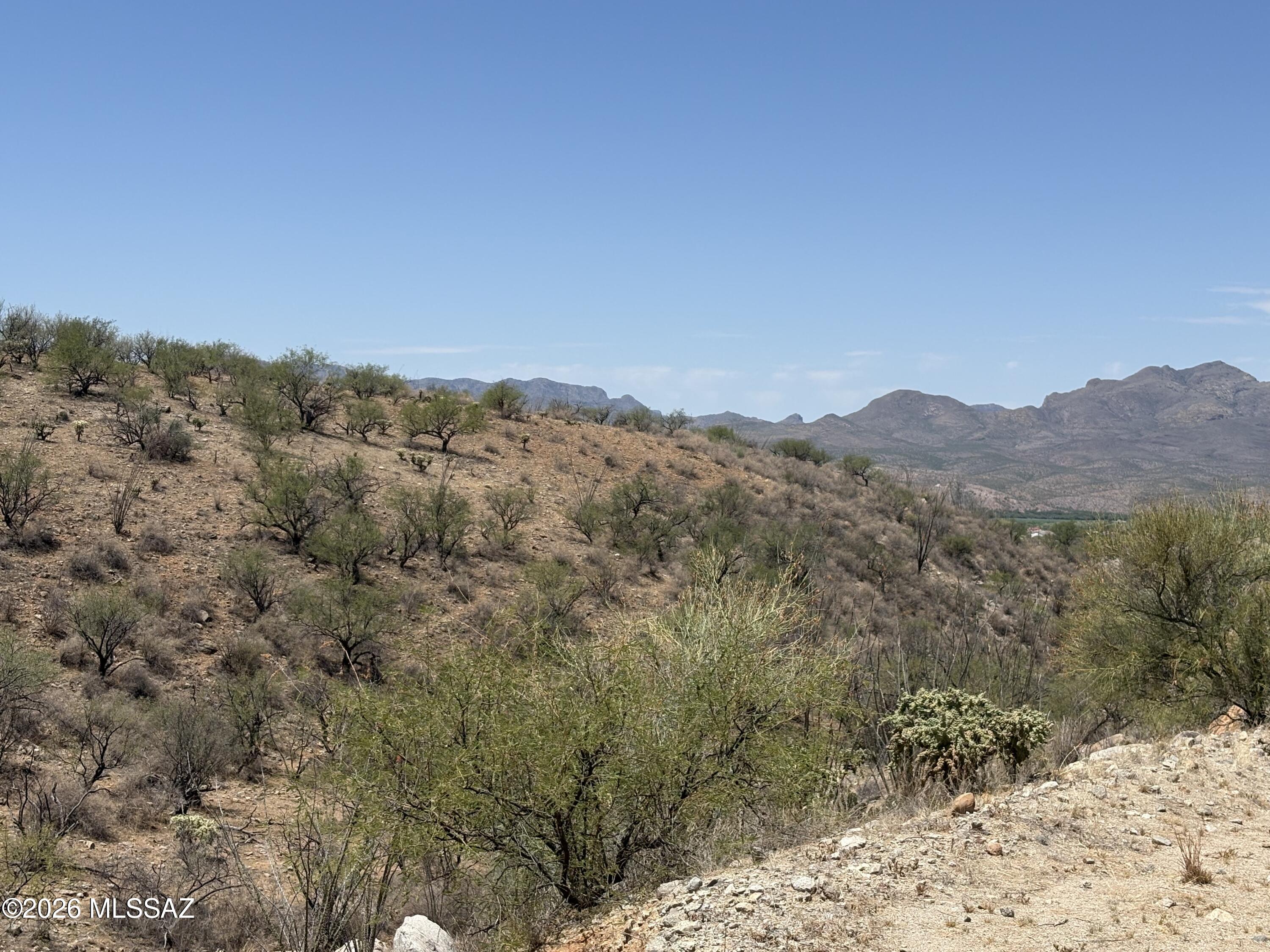 Rio Rico Ranchettes - Land