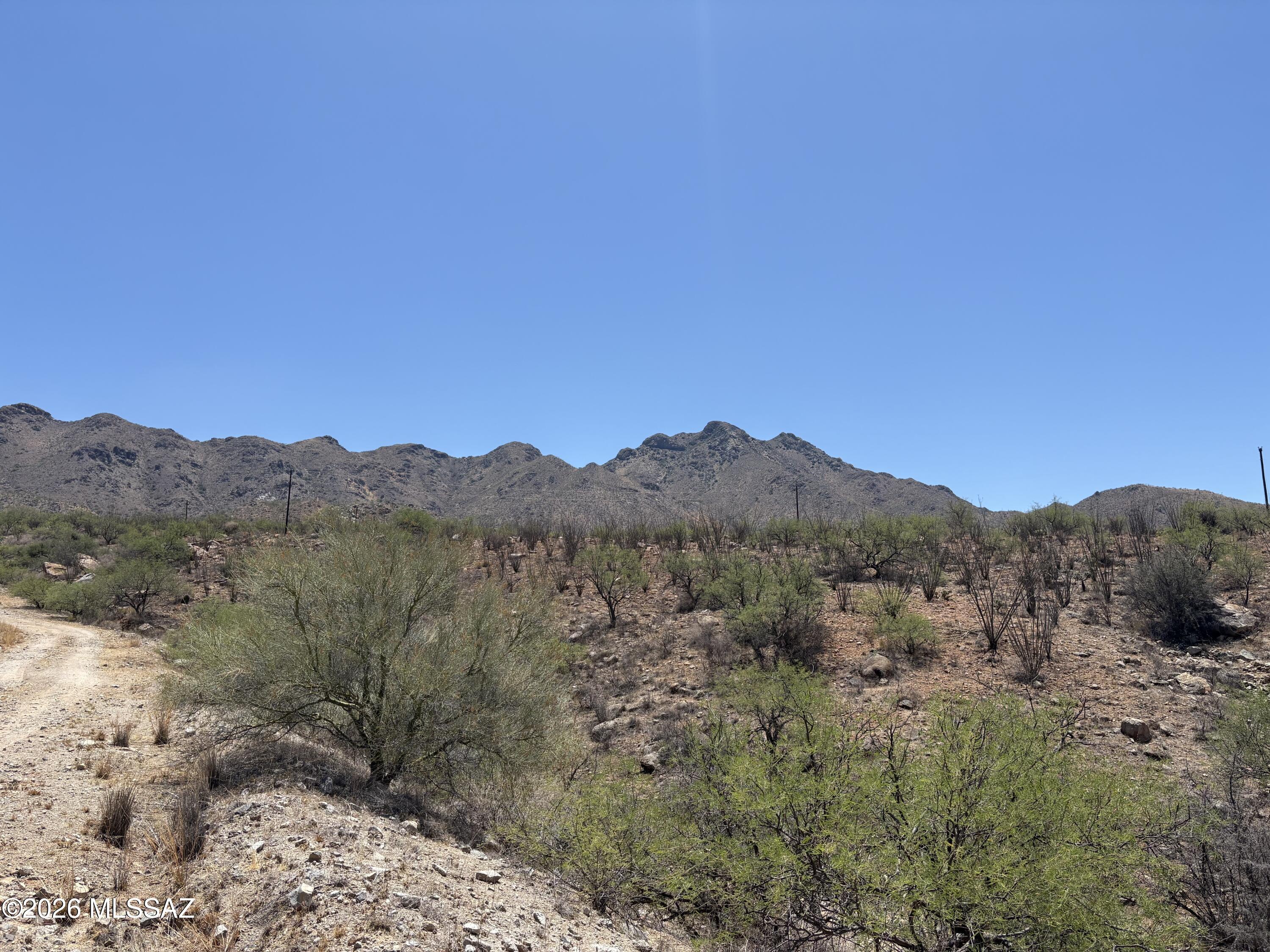 Rio Rico Ranchettes - Land