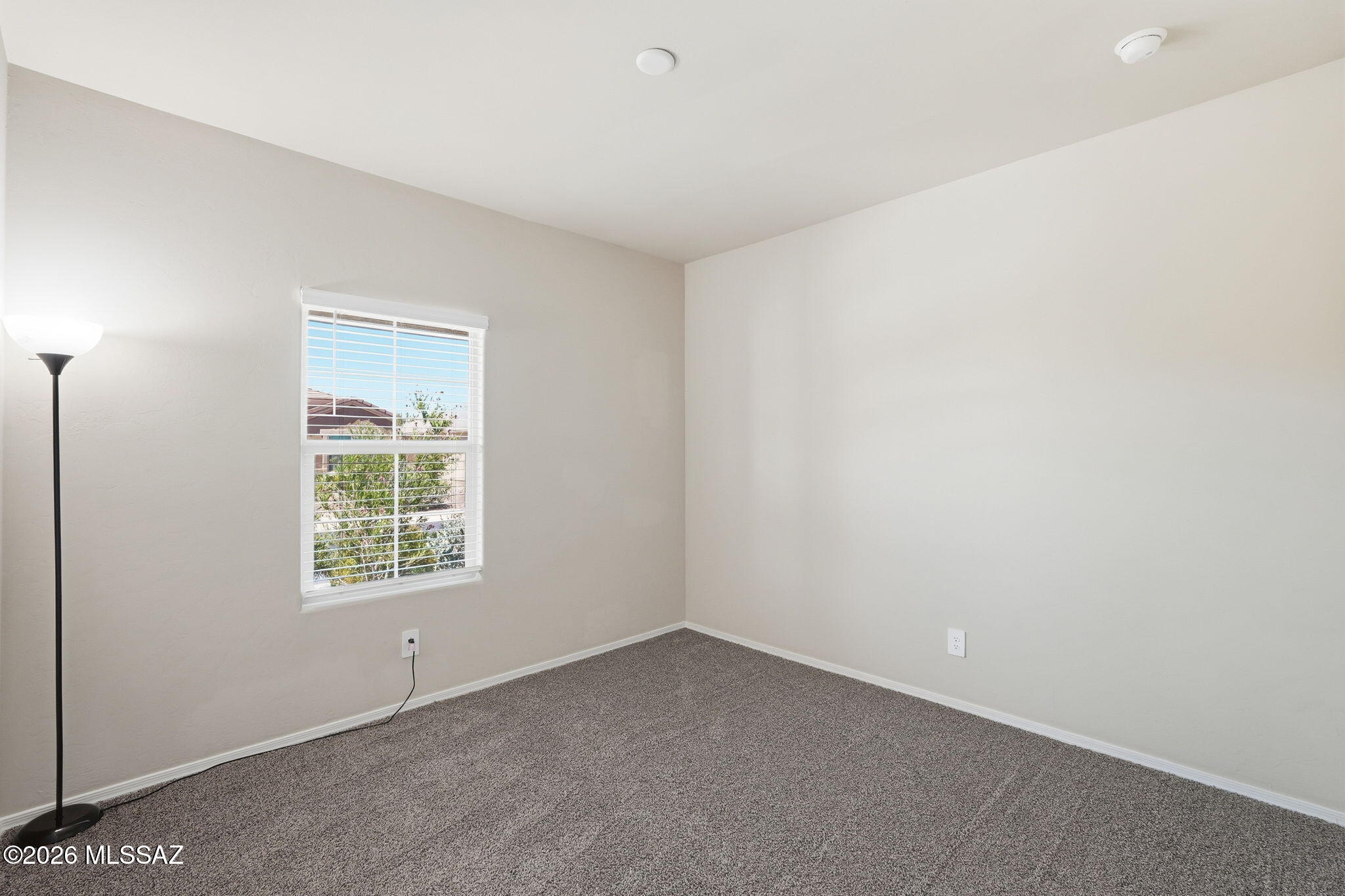 Saguaro Bloom 7B - Residential