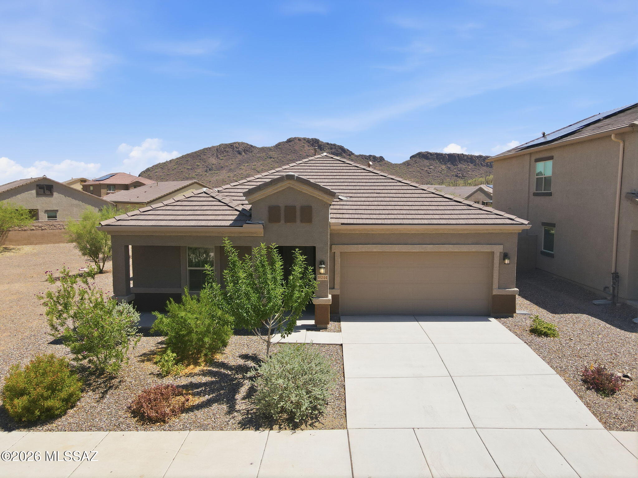 Saguaro Bloom 7B - Residential