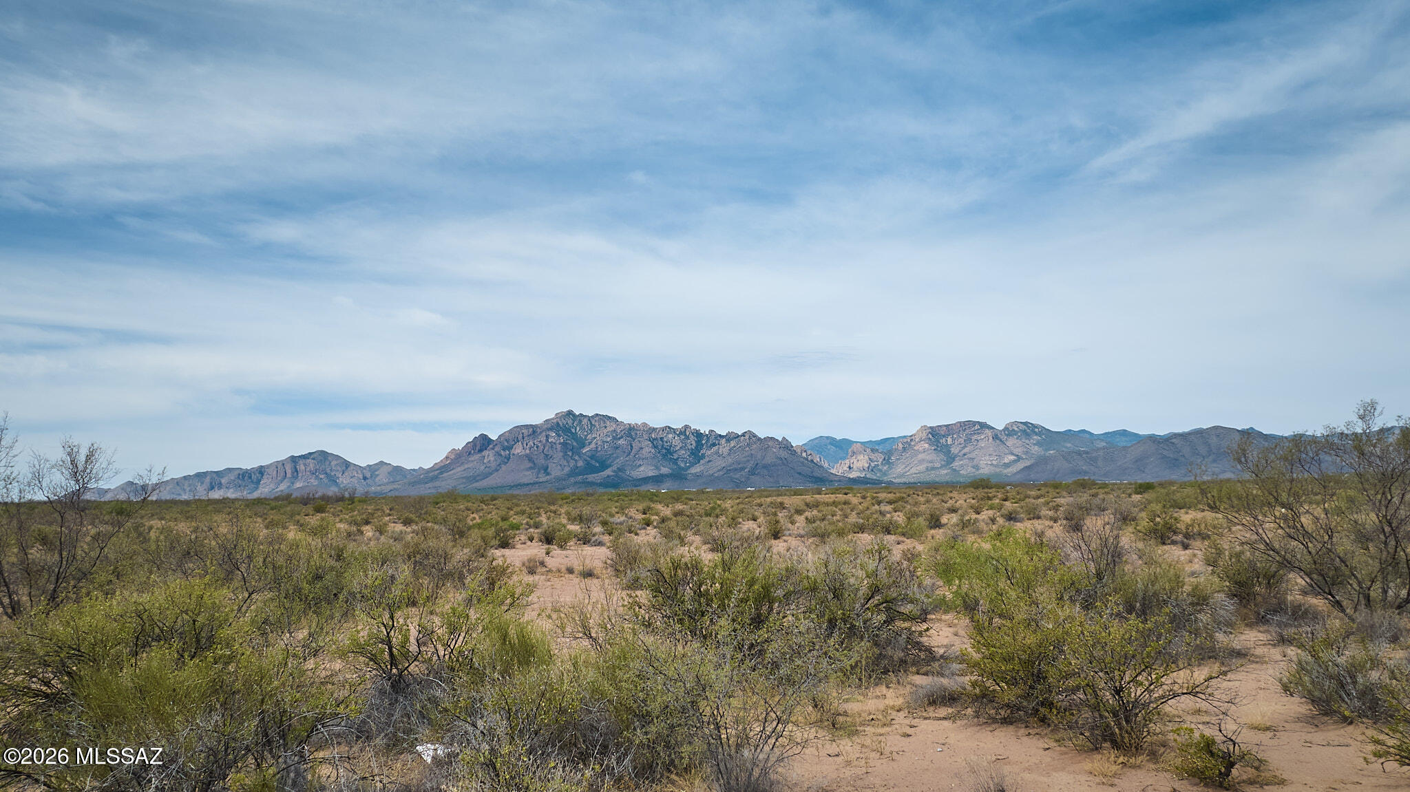 Ready for EPIQUE dark night skies, colorful sunrise and sunset mountain views of the Chiricahuas from your very own 20 acres in Portal, AZ? Come see this lot in Cochise County famed as the Yosemite of Arizona! Property ready to be developed, high desert vegetation, flat, buildable land. Dividable Lot. Zoned RU-4. This parcel is a great homestead property with grid power located near the west property line.  Easy access to NM State Route 80, A short but scenic drive to to birding and hiking in Cave Creek Canyon, supplies in Animas, NM and Douglas, AZ. Portal is known for its abundant wildlife, dark night skies, hiking trails, and world class birding.