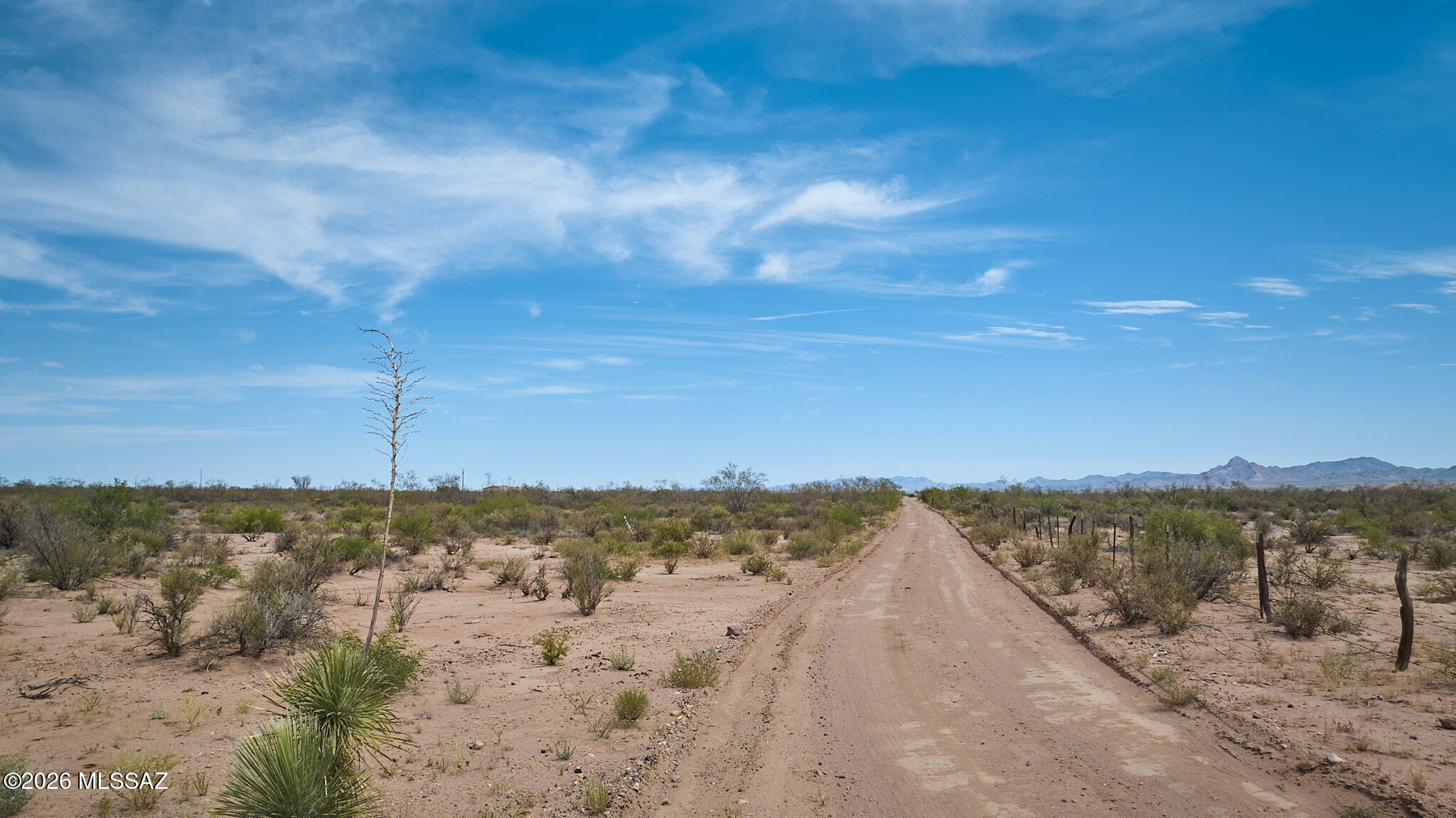Out Of Pima County - Land