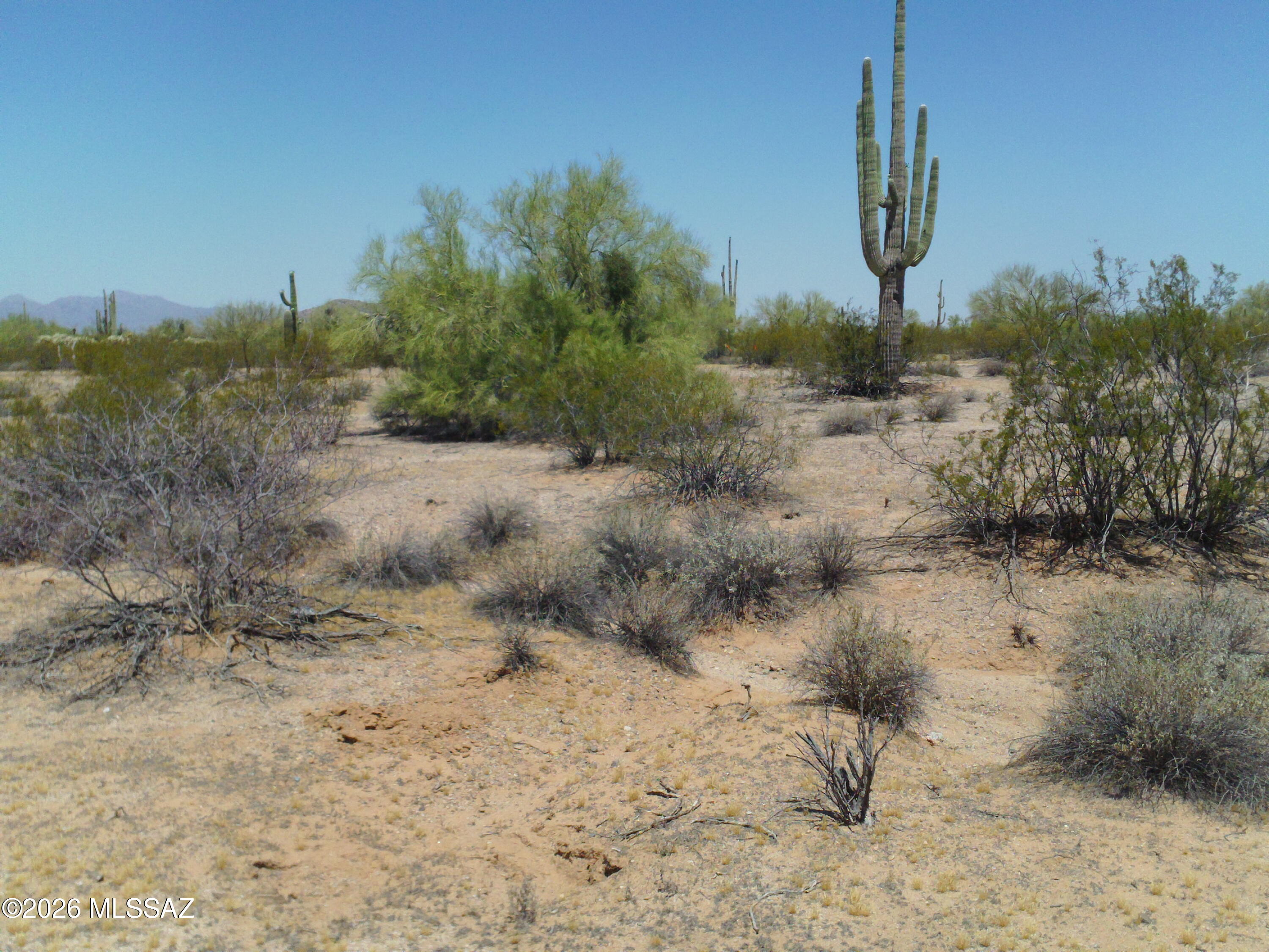 Pristine 15-acres of mature growth with privacy, Sunrise and Sunset views on flat buildable lush Sonoran Desert, multiple build sites, great for off-grid living and can split to develop as needed! This 15-acre beauty has its' northern boundary with State Land access to hundreds of acres! Owner may carry at $35k down-call agent to discuss terms. Road through property is not an easement, No east-side fencing exists. Pictures don't do this parcel justice-Must See! Offer today!
Owner is licensed real estate Broker-must disclose, Thank you for your time!