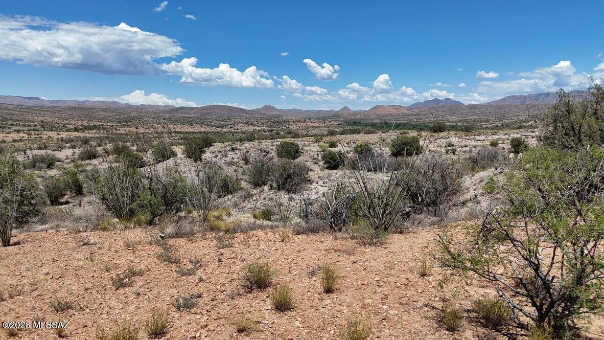 Rio Rico Ranchettes 14 - Land