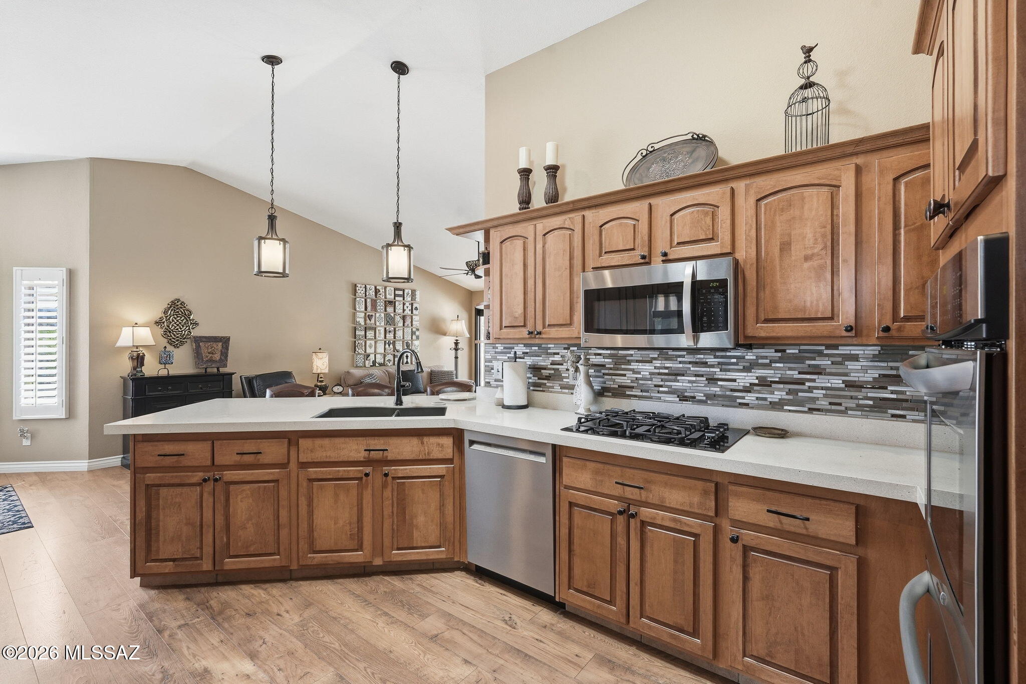 Saddlebrooke - Residential