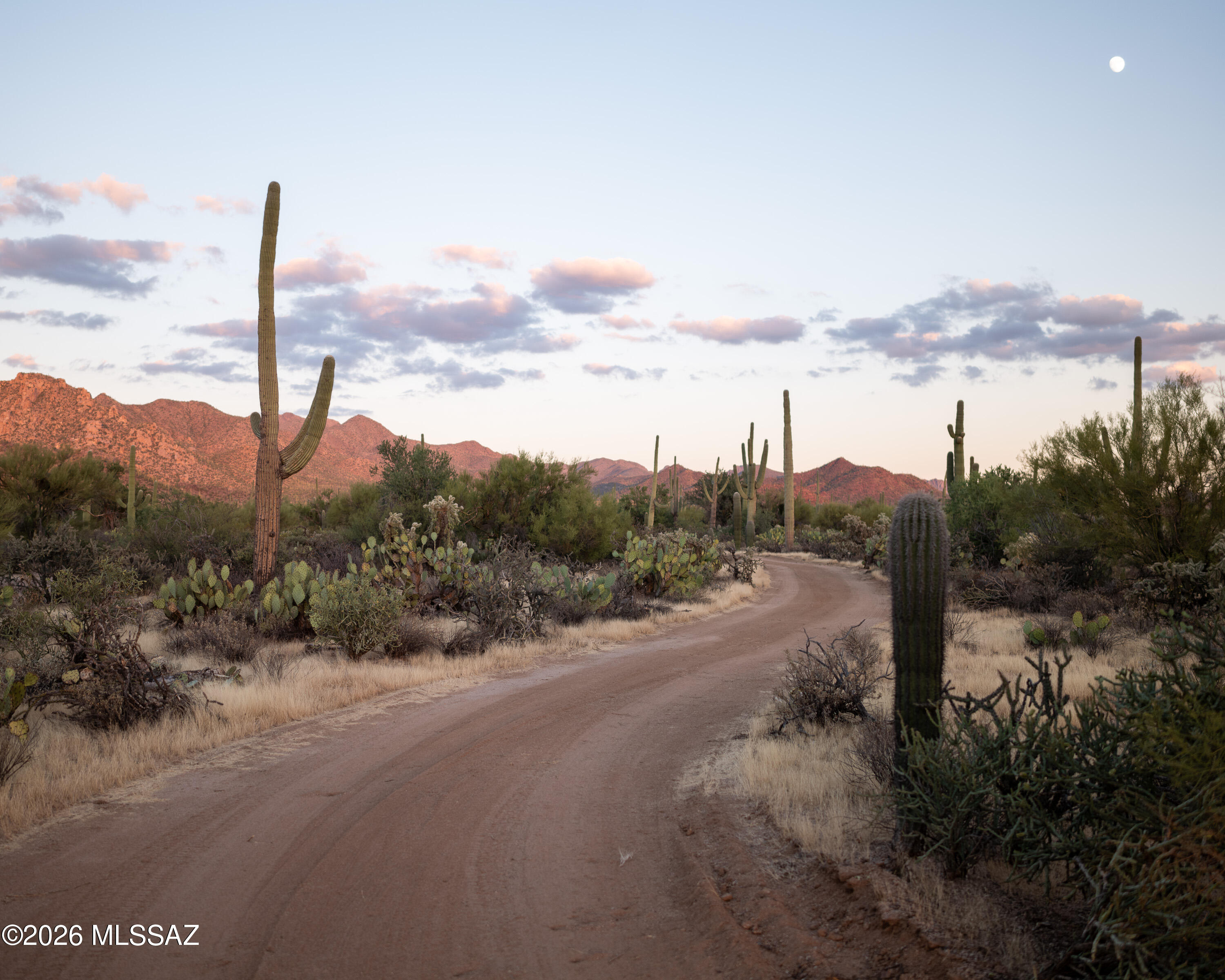 Discover an incredible chance to own raw desert land in one of Tucson's most sought-after natural settings. Each parcel is 4.4 acres and sits nearby the Joshua Tree Inn which borders Saguaro National Park West. Multiple trailheads within the national park are just minutes away, with stunning Sonoran Desert and mountain views that never get old. Infrastructure is already in place with water and power roughed in and ready for your build. Lot D also features a brand new septic system. Nestled alongside the world-renowned Arizona-Sonoran Desert Museum, opportunities like this simply don't come around often.