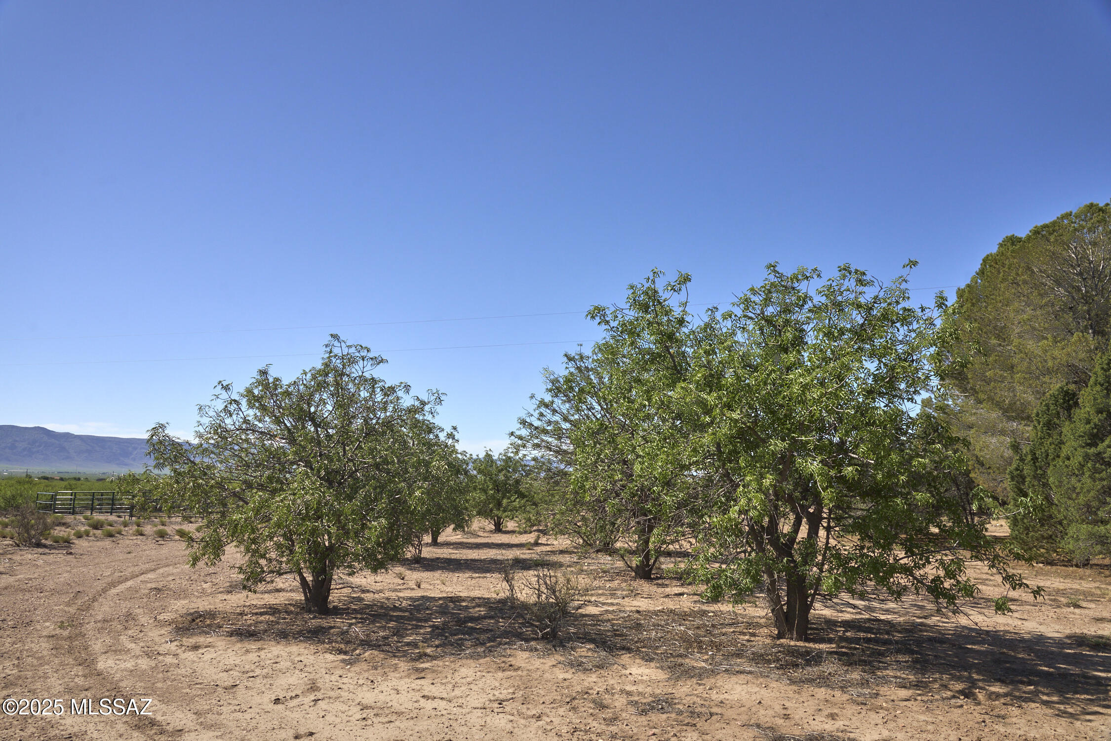 Out Of Pima County - Residential