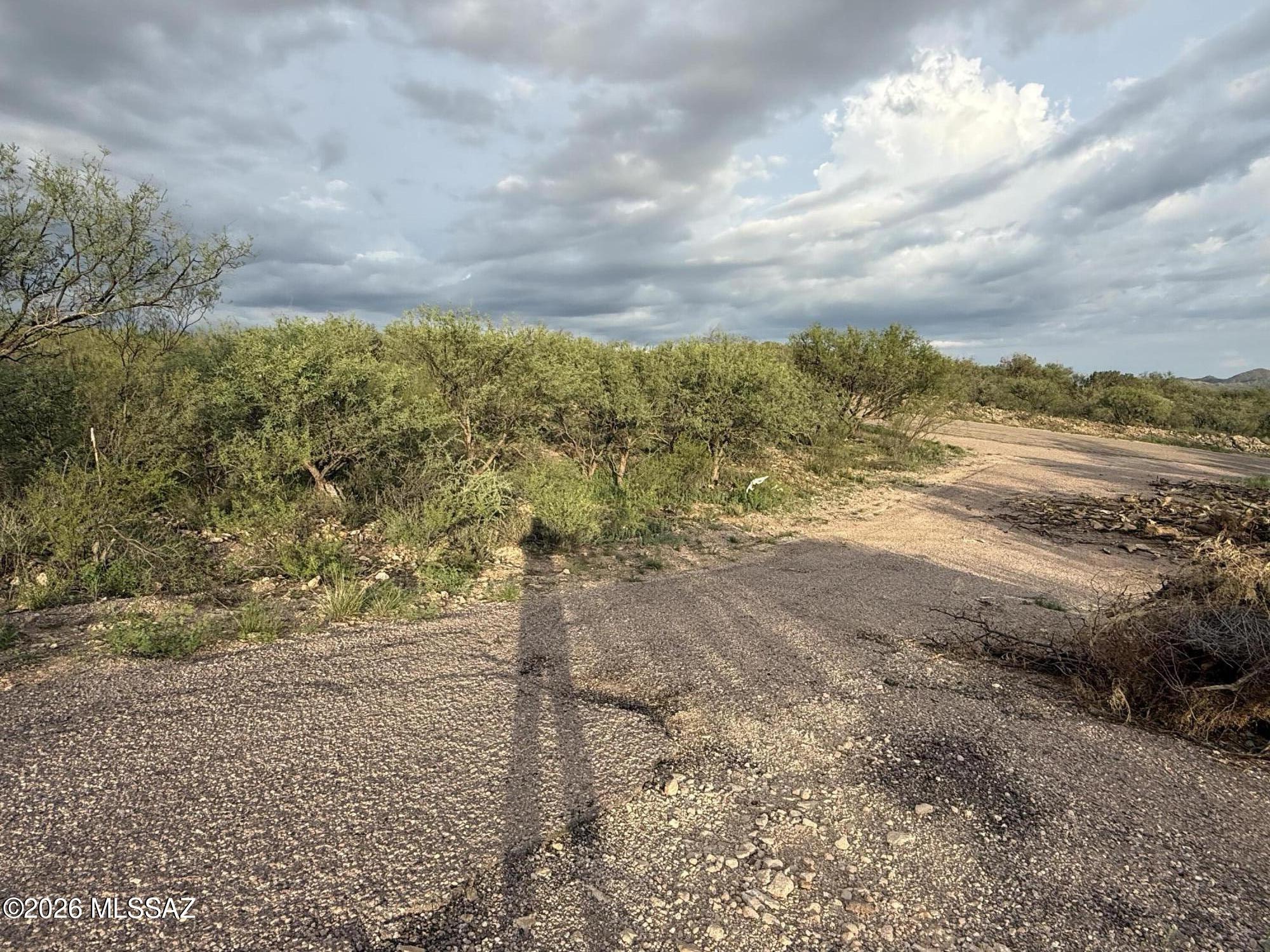 Rio Rico Estates - Land
