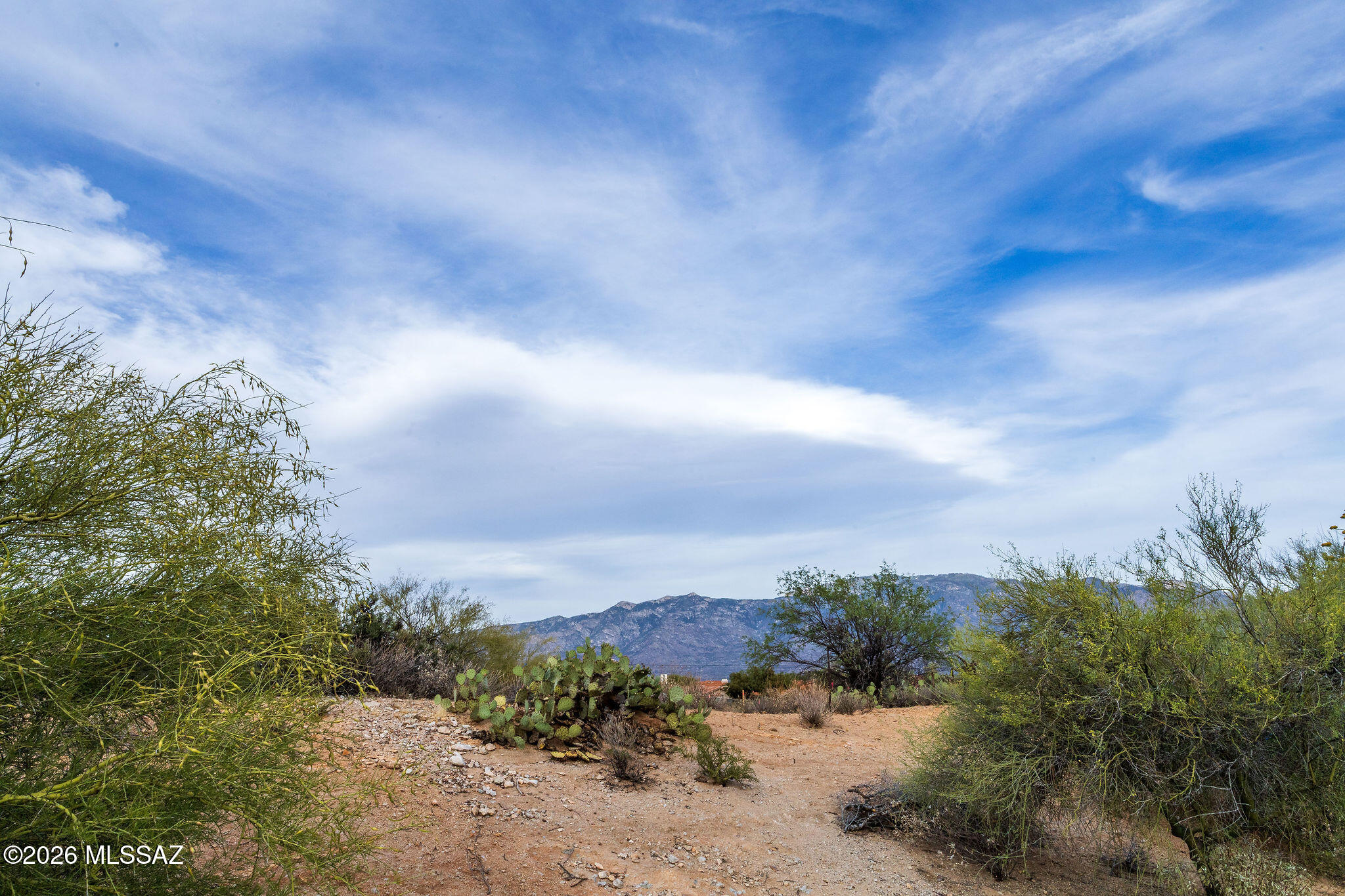 Honey Bee Ridge(The Estates At) - Land