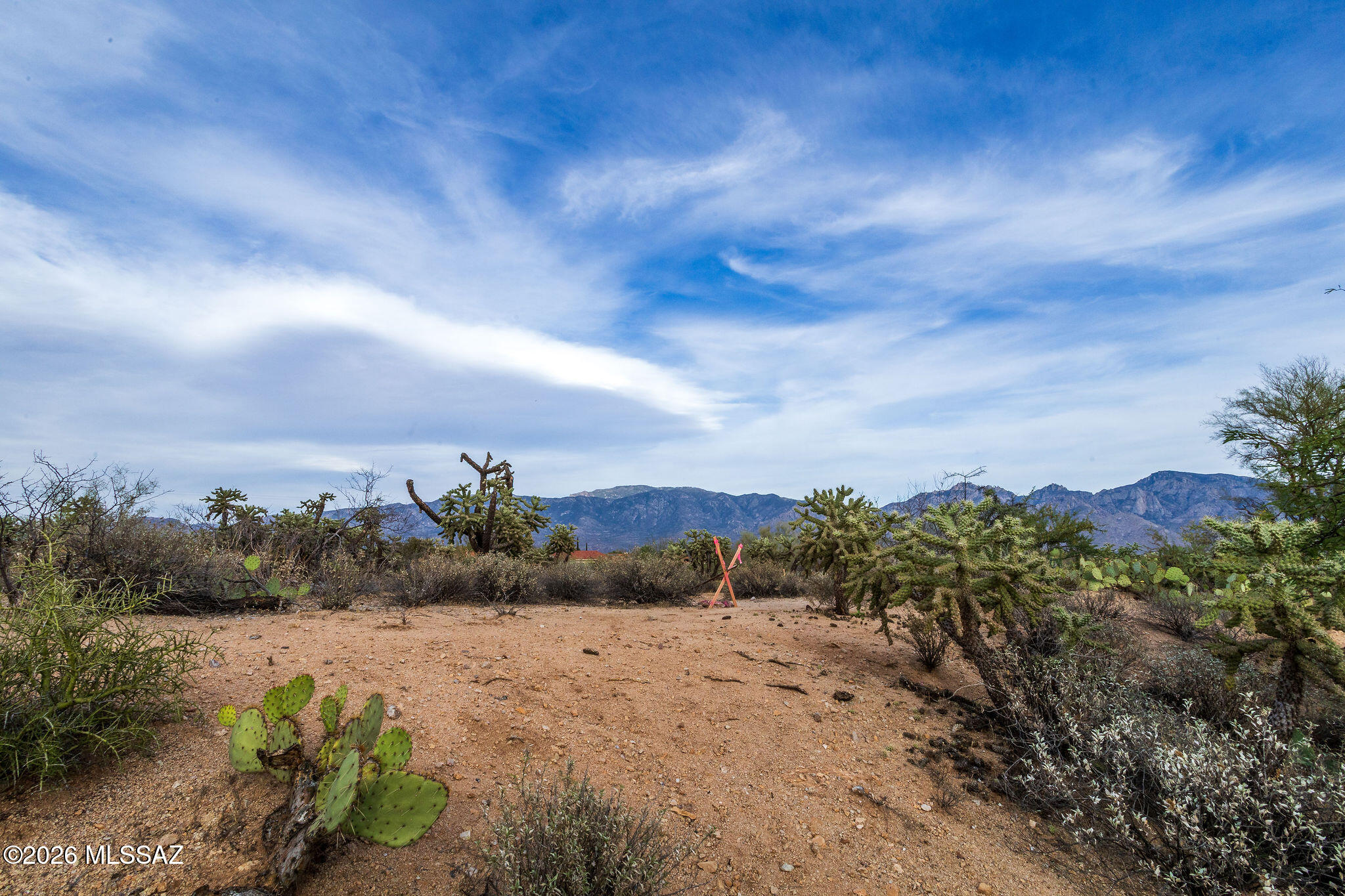 Build your custom dream home on this exceptional 1.21-acre homesite in the prestigious guard-gated community of The Estates at Honey Bee Ridge. This flat easy to build lot offers unobstructed panoramic views of the Catalina Mountains and Pusch Ridge. The relatively flat terrain makes for an easier build, with underground utilities conveniently located at the lot line. Surrounded by lush Sonoran Desert vegetation, this homesite provides privacy and stunning natural beauty. The community features only 128 custom luxury residences on acre-plus lots with home between 1M and 2M dollars. Conveniently located near shopping, dining, golf, hospitals, and outdoor recreation, including Honey Bee Canyon Park, Catalina State Park, and The Loop trail system. . A rare opportunity to create your ideal home in one of Oro Valley's most sought-after communities.  Plans may be available with acceptable offer.