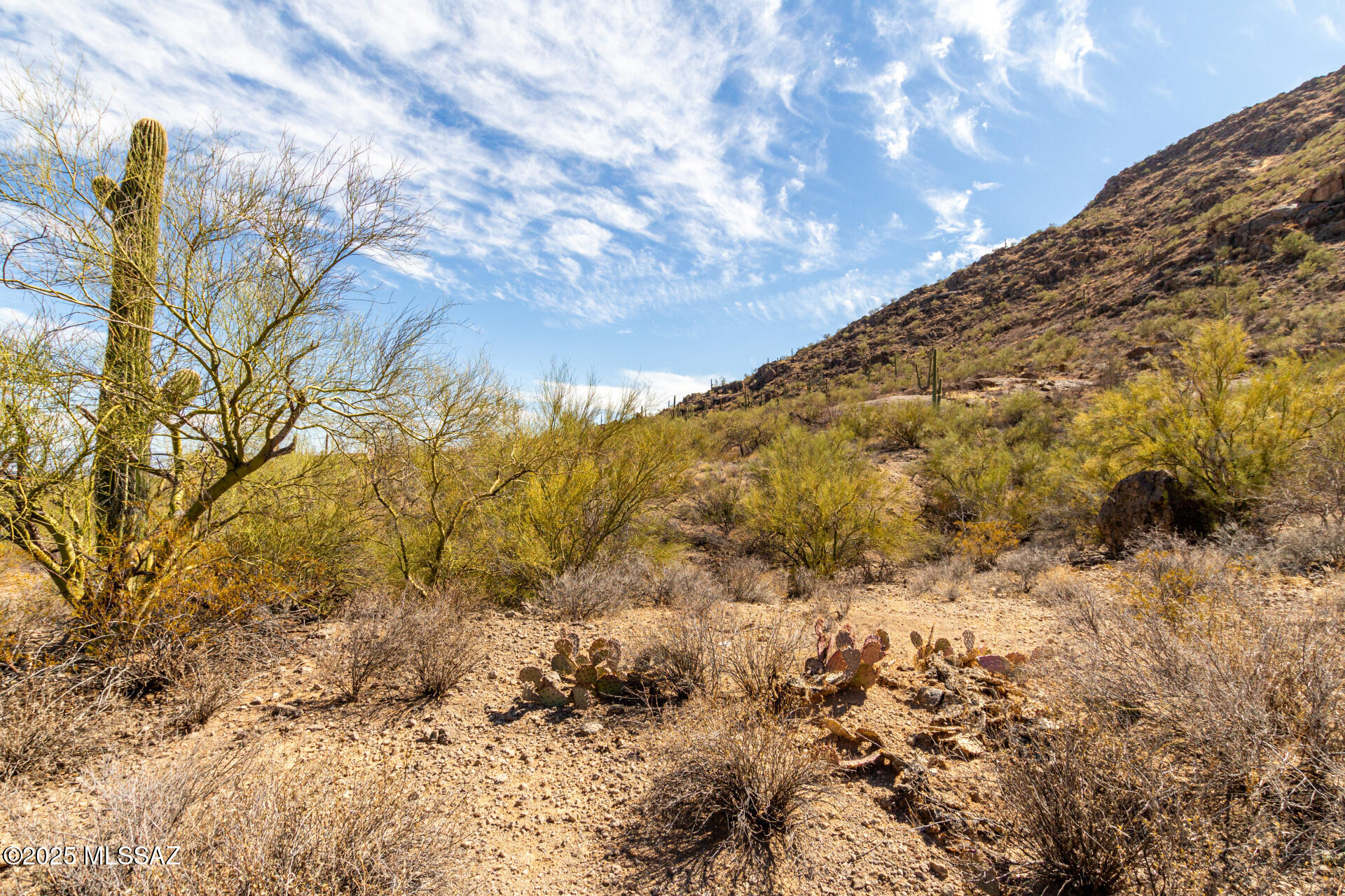 Mesquite Hills (1-21) - Land