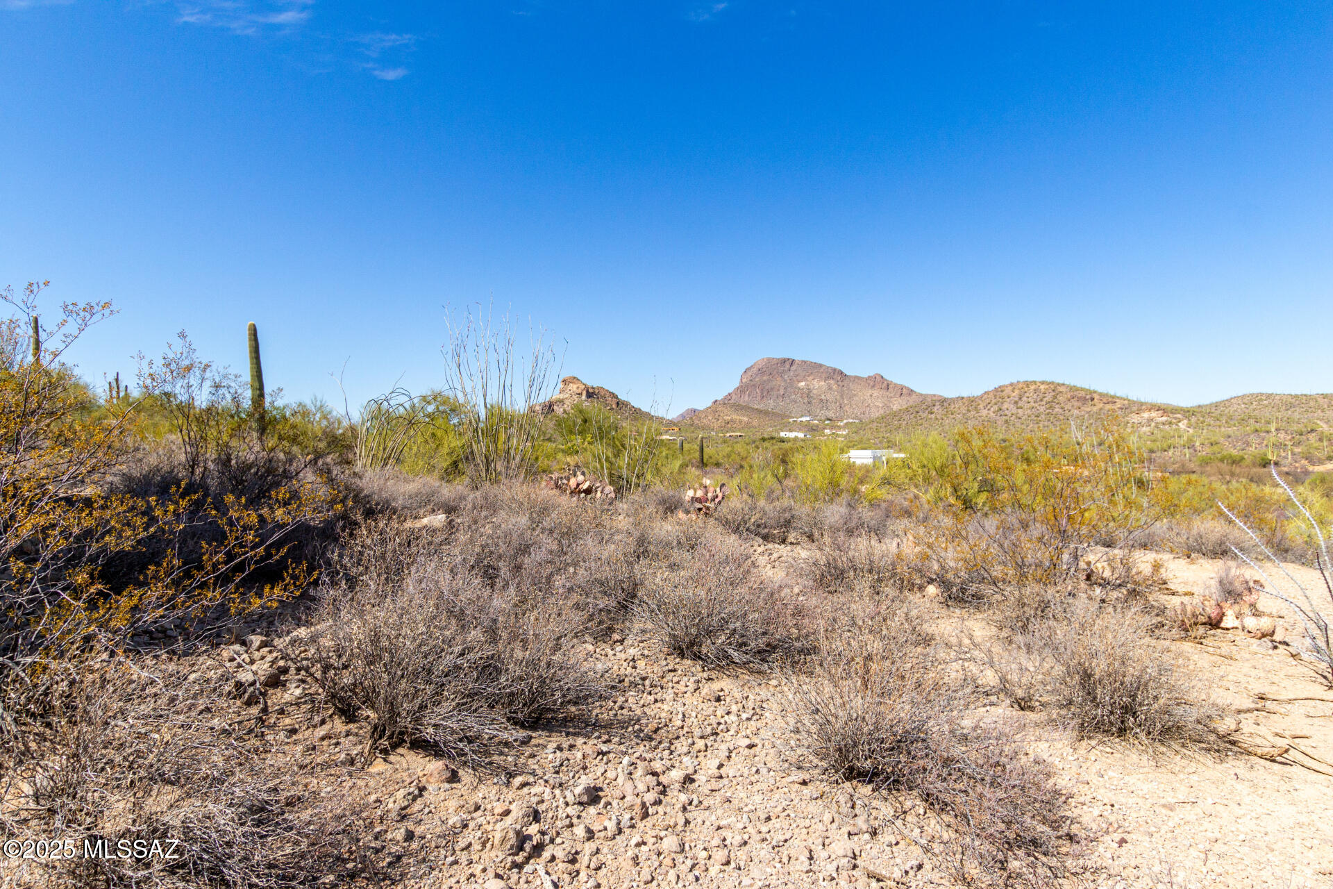 Mesquite Hills (1-21) - Land
