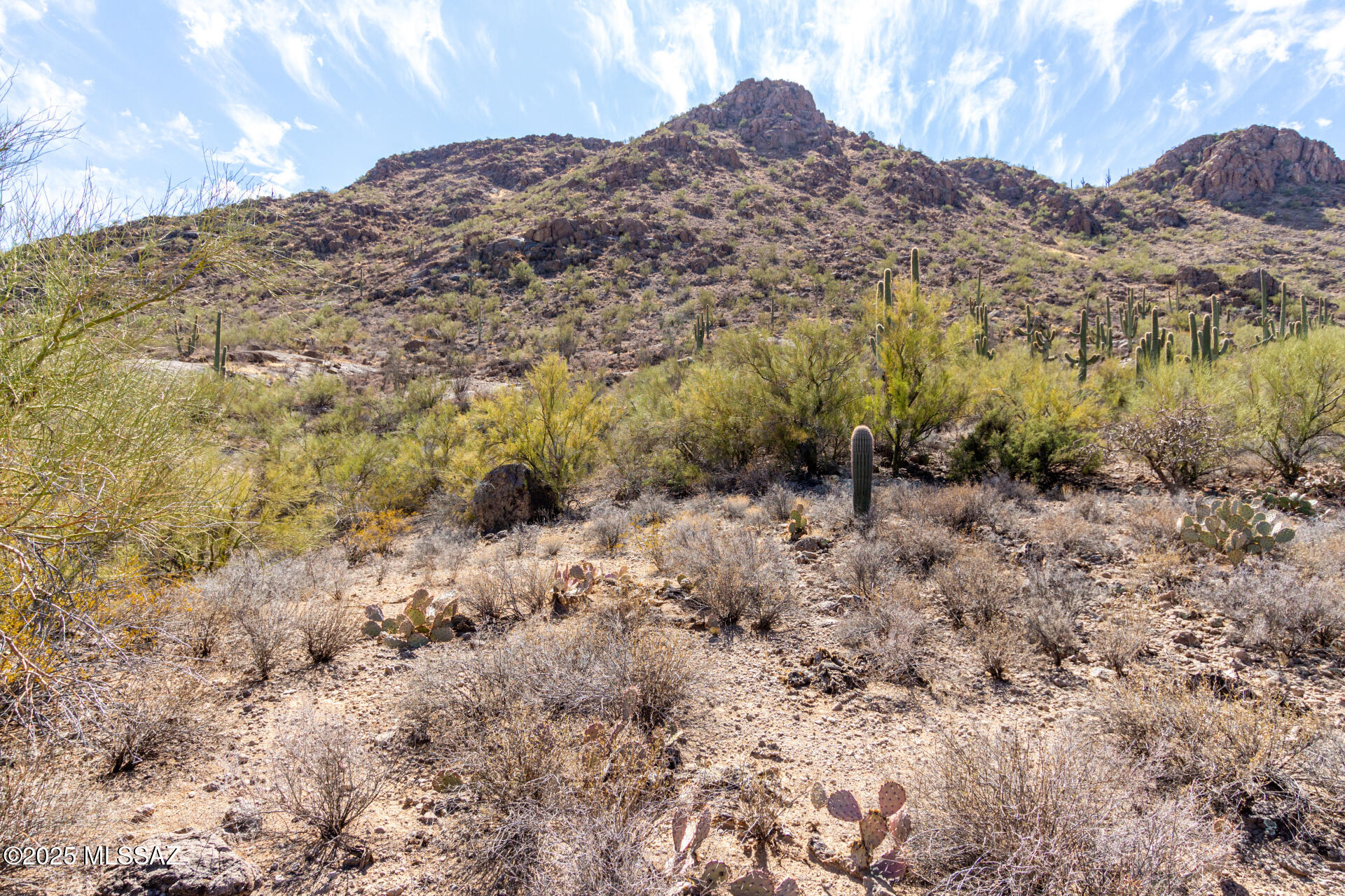Mesquite Hills (1-21) - Land