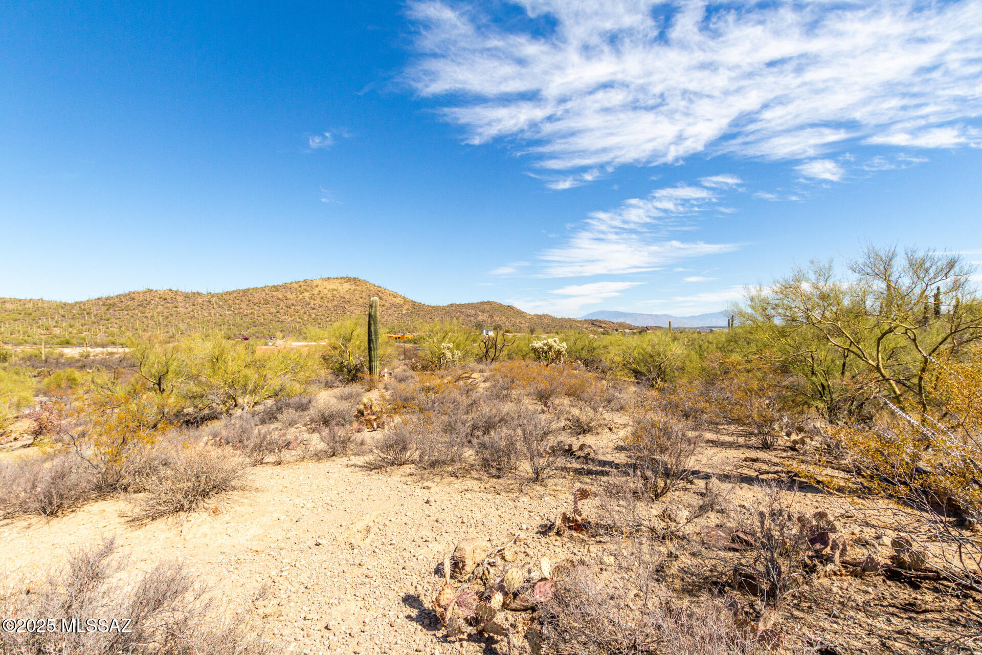 Mesquite Hills (1-21) - Land