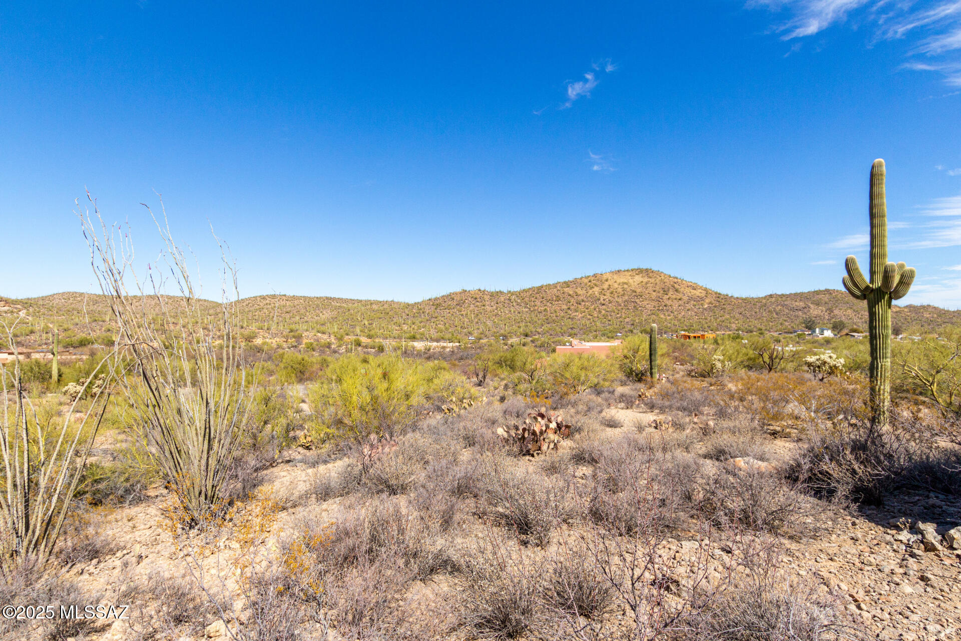 Mesquite Hills (1-21) - Land