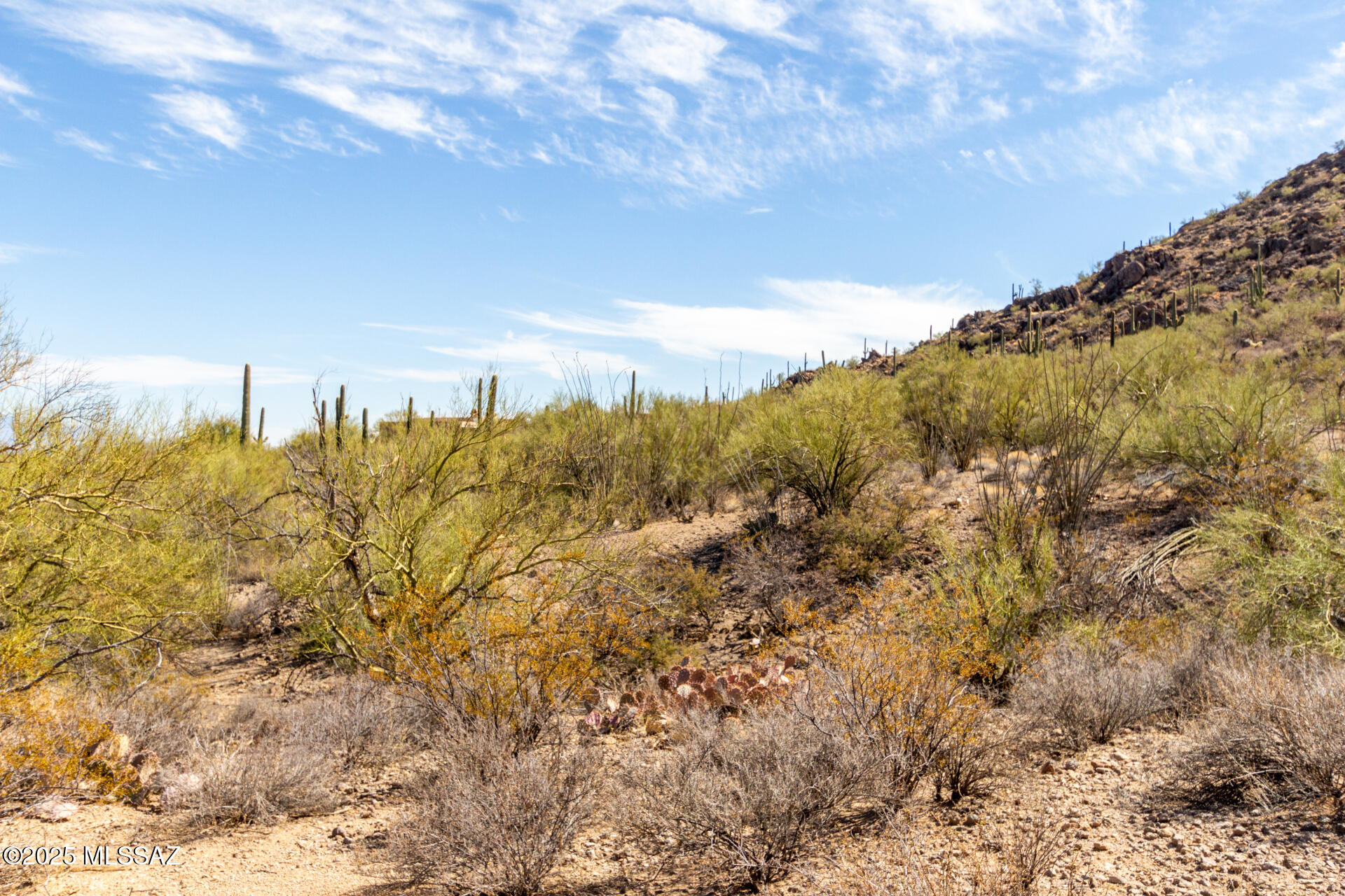 Mesquite Hills (1-21) - Land