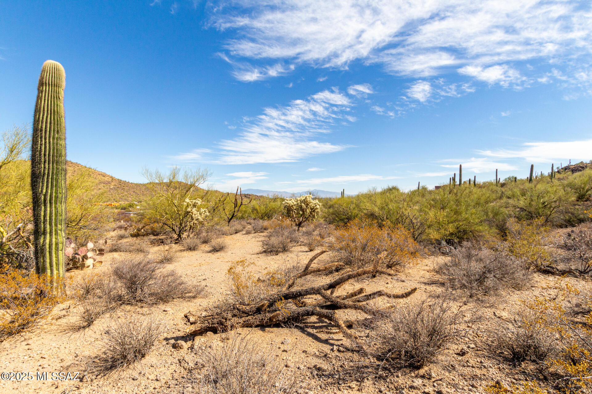 Mesquite Hills (1-21) - Land
