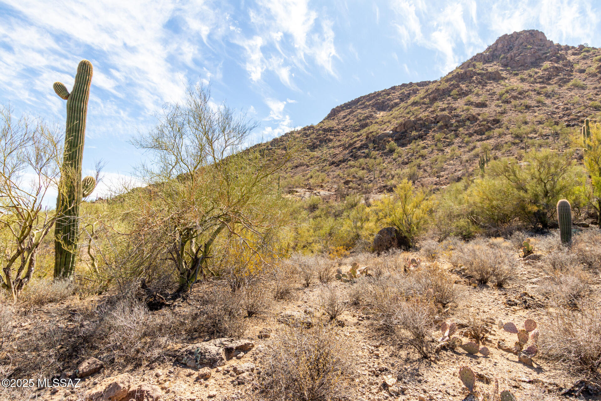 Mesquite Hills (1-21) - Land