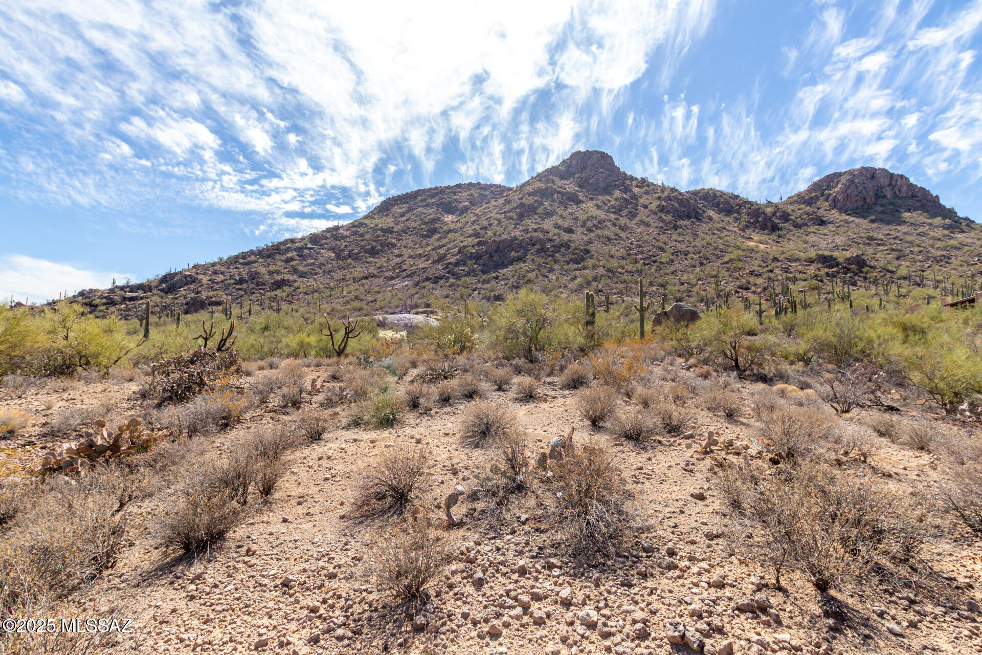 Mesquite Hills (1-21) - Land
