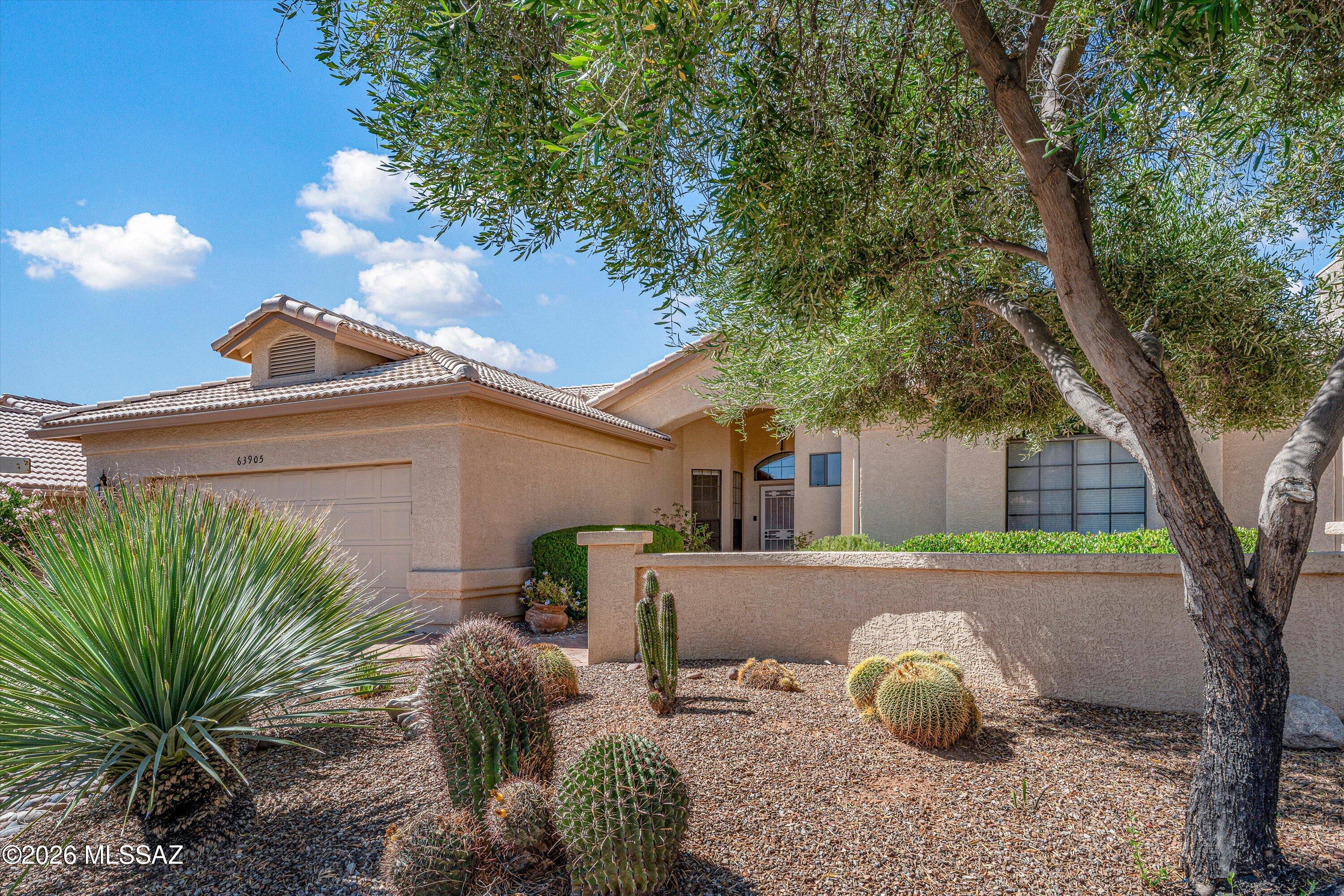 Saddlebrooke - Residential