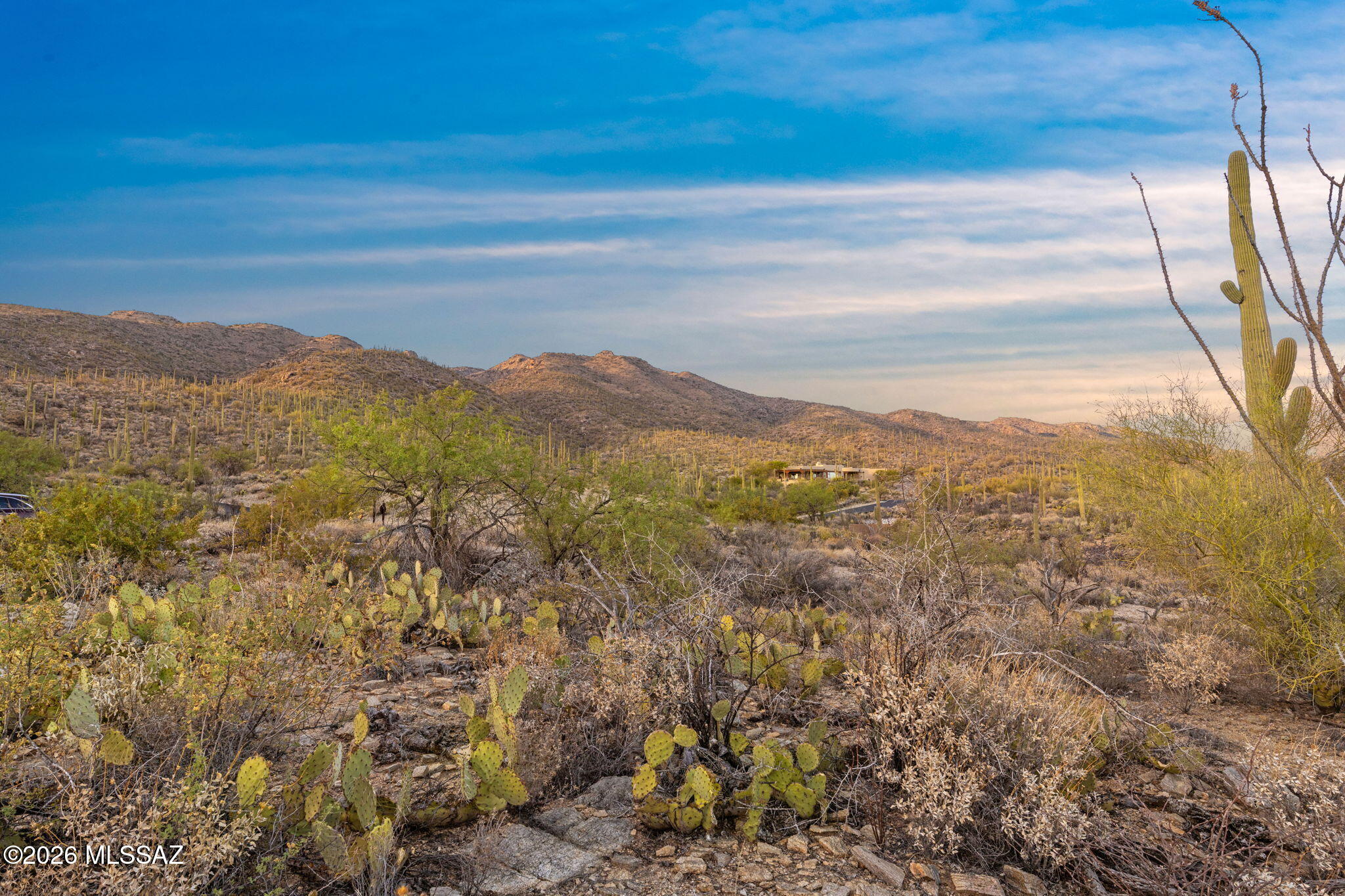Fetzer Ranch (1-60) - Land
