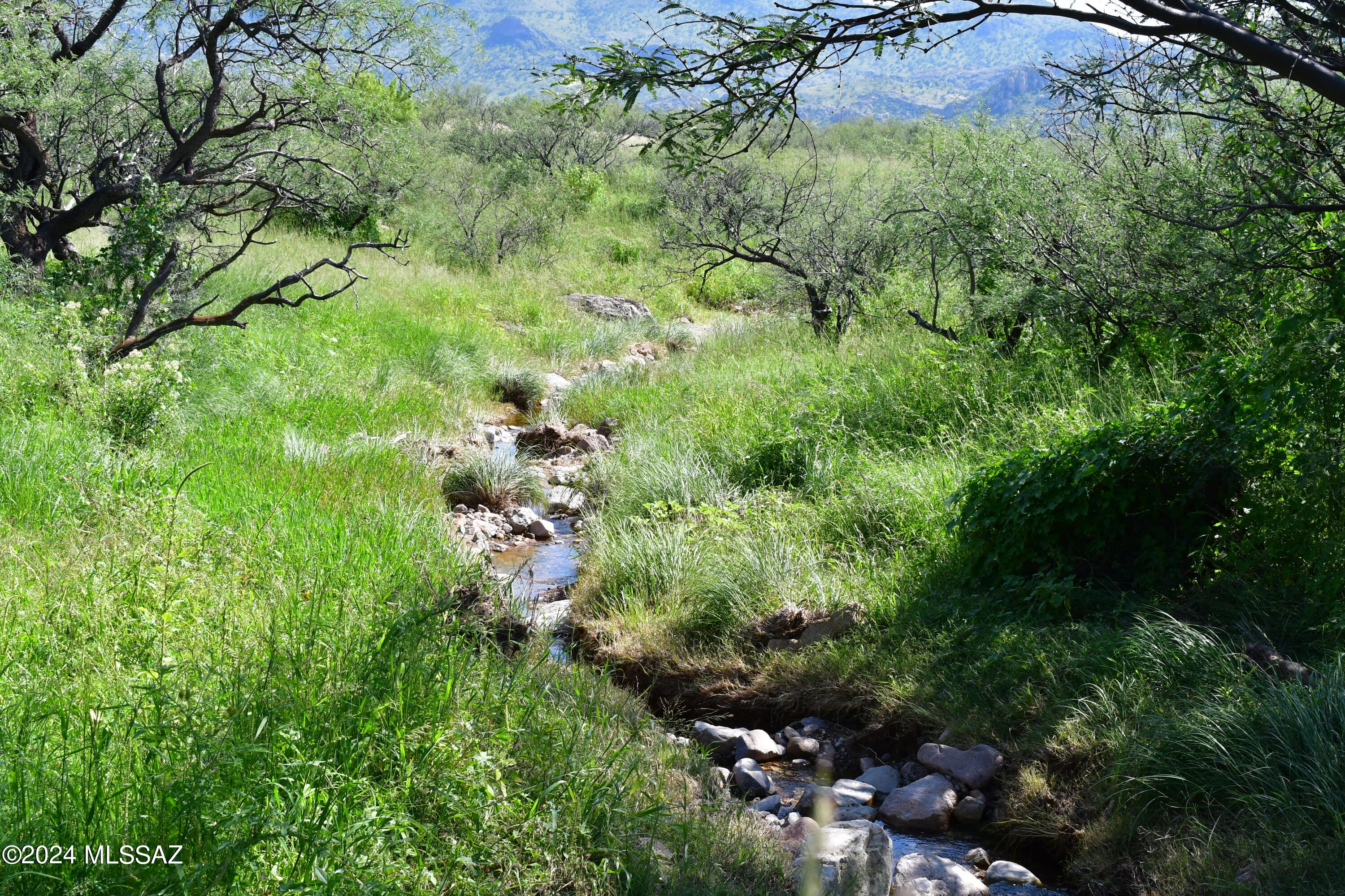 Rare find at the spectacular Salero Ranch! Best equestrian and most useable parcel on the entire ranch with easy access, good soil and an easy build. Level building sites with magnificent 360 degree mountain views. Beautiful Alto Creek runs through the parcel. Ranch is gated for privacy and underground electric protects the views. Very close to National Forest along a private road for endless riding or hiking. Remnants of an old historic rock home on the parcel. Must see property!