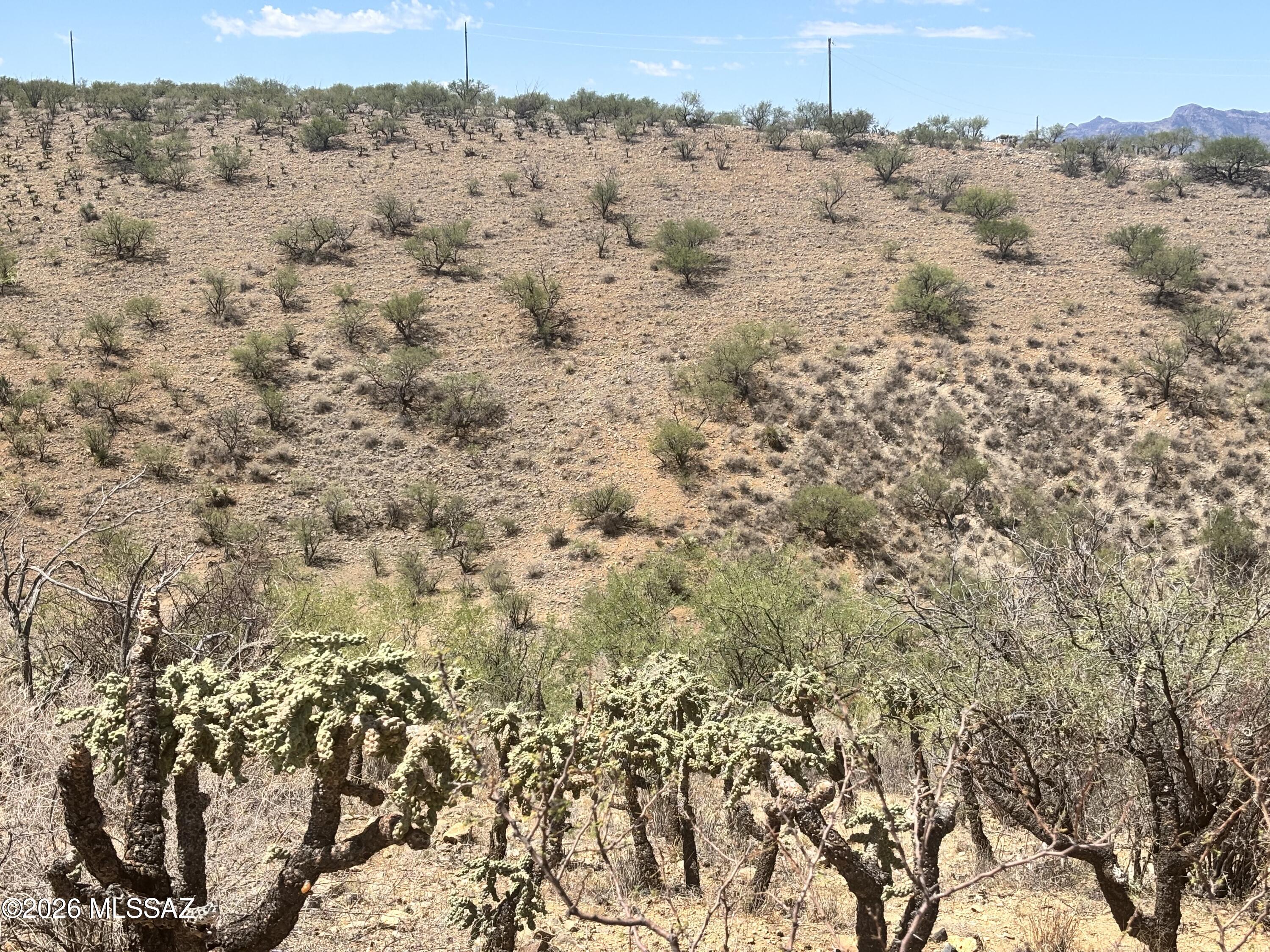 Rio Rico Ranchettes - Land