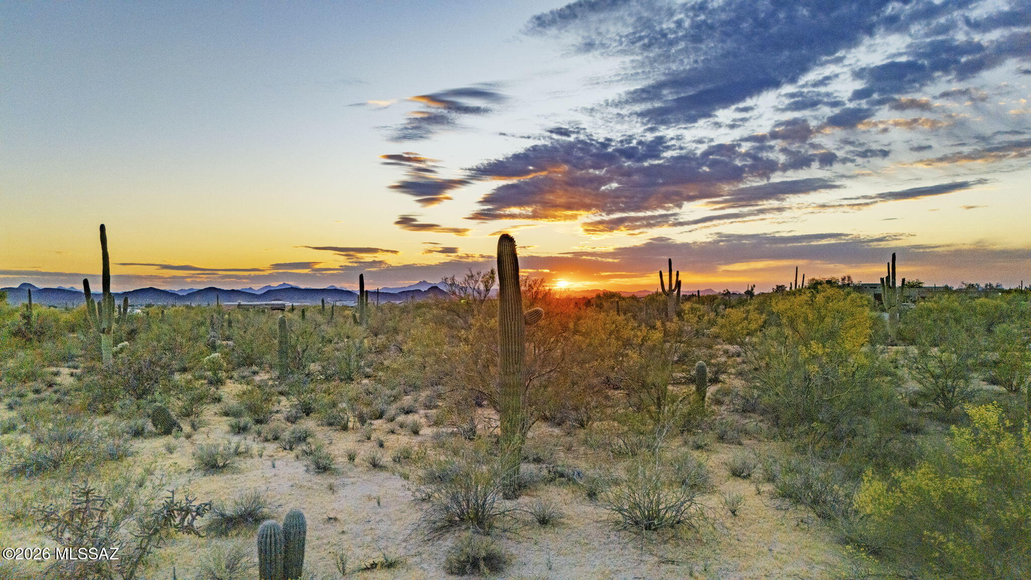 Rare opportunity to own the last buildable lot in an established neighborhood of custom homes. This 3.31-acre homesite offers stunning desert landscape and breathtaking panoramic views of the Catalina, Tortolita, and Tucson Mountains. Enjoy privacy and tranquility with no HOA, while still being conveniently located near shopping and amenities. Paved street, Water, electric, and phone available making this ideal for your dream home in a SPECTACULAR setting.