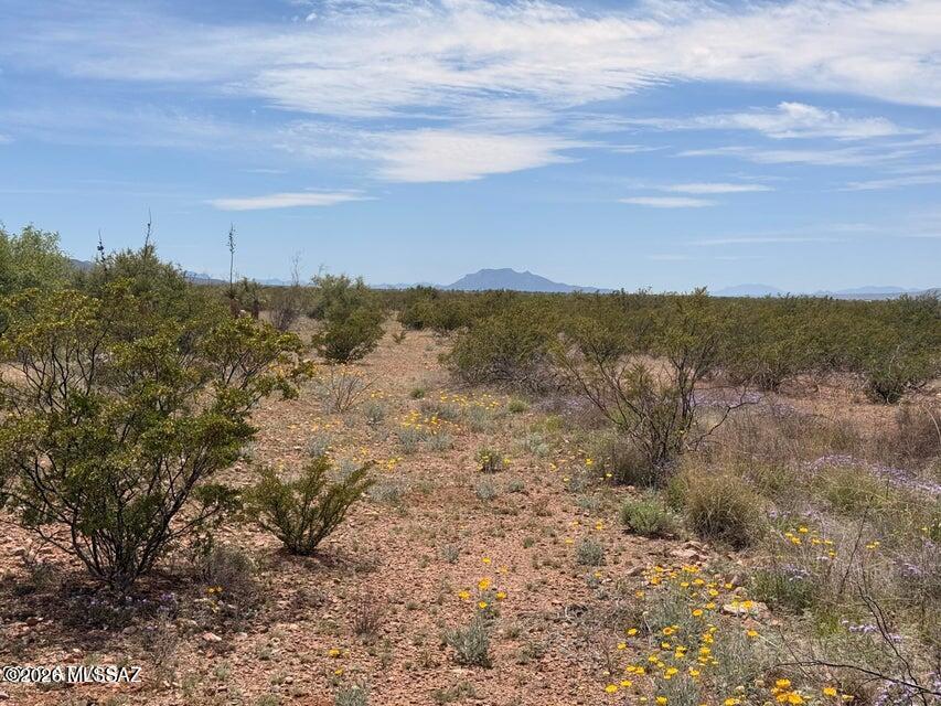 Out Of Pima County - Land