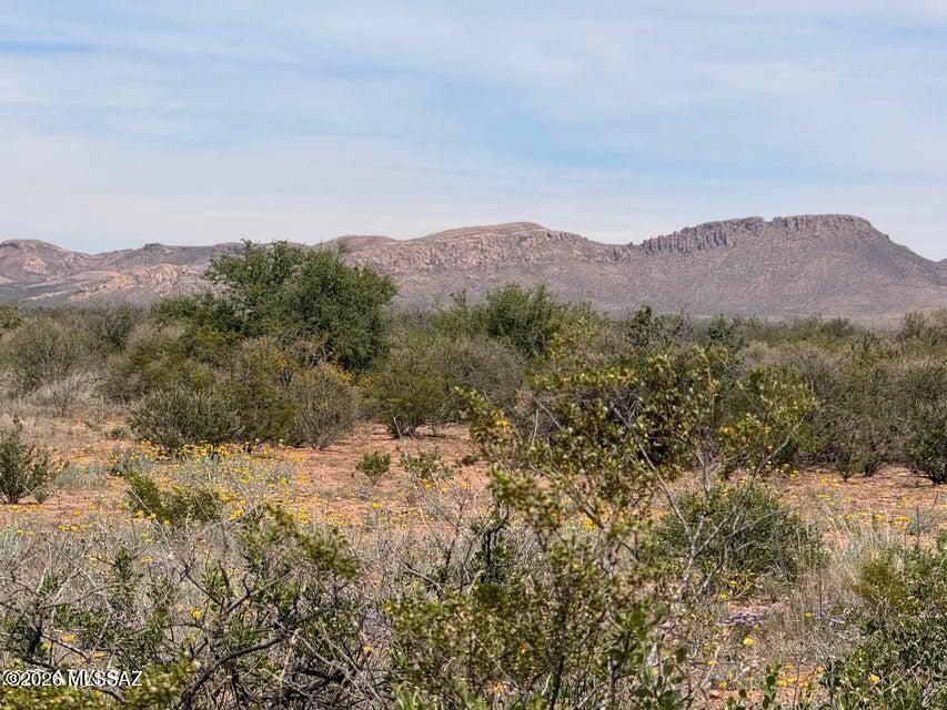 Escape to wide open space with this 0.32-acre rural parcel just outside of Douglas. Located in a very remote area, this property
is ideal for those looking to go off-grid and enjoy peace, privacy, and big desert views. No utilities are currently in place, making it a great opportunity for a self-sufficient setup--perfect for water haul, solar, and alternative building options. Whether you're looking for a weekend getaway spot, a future homesite, or a low-cost land investment, this property offers flexibility and freedom. Enjoy quiet surroundings, star-filled skies, and the simplicity of rural Arizona living. Seller has another lot for sale nearby!