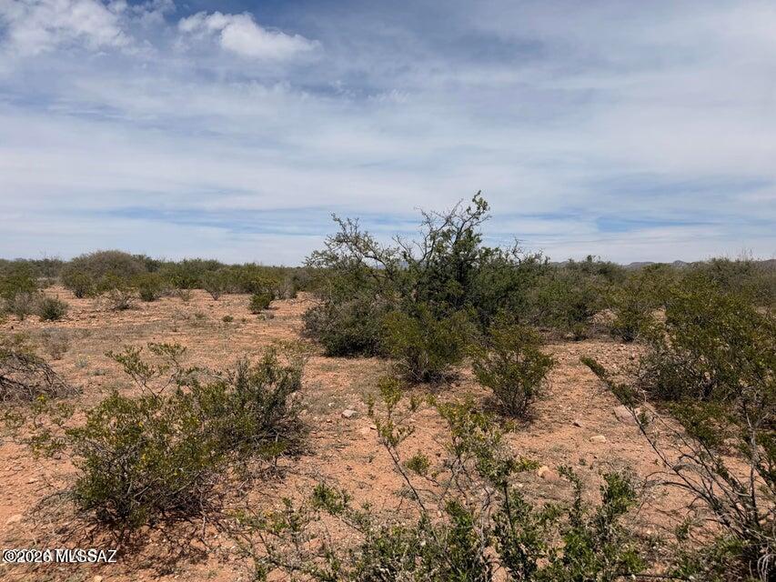 Out Of Pima County - Land