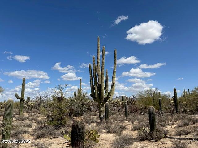 One of 4, SR ZONED, adjoining lots sold individually or in bulk. ALL LUSHLY VEGETATED, with SAGUAROS, MESQUITES, PALO VERDES, etc. Level, easy building conditions and BIG VIEWS of the TORTOLITAS and CATALINS from each, New SHARED WELL, electric and phone will serve the sites. Many newer customs homes and private ranched in the immediate area, Quiet, RURAL FEEL yet convenient ti I-10, DOVE MOUNTAIN and ORO VALLEY. Affordably priced from $187,000 - $199,000. See documents for maps, plats, well information, etc. Walk to pink flagging in the center of the lot for excellent home site location. EZ to show or call LA agent to meet.