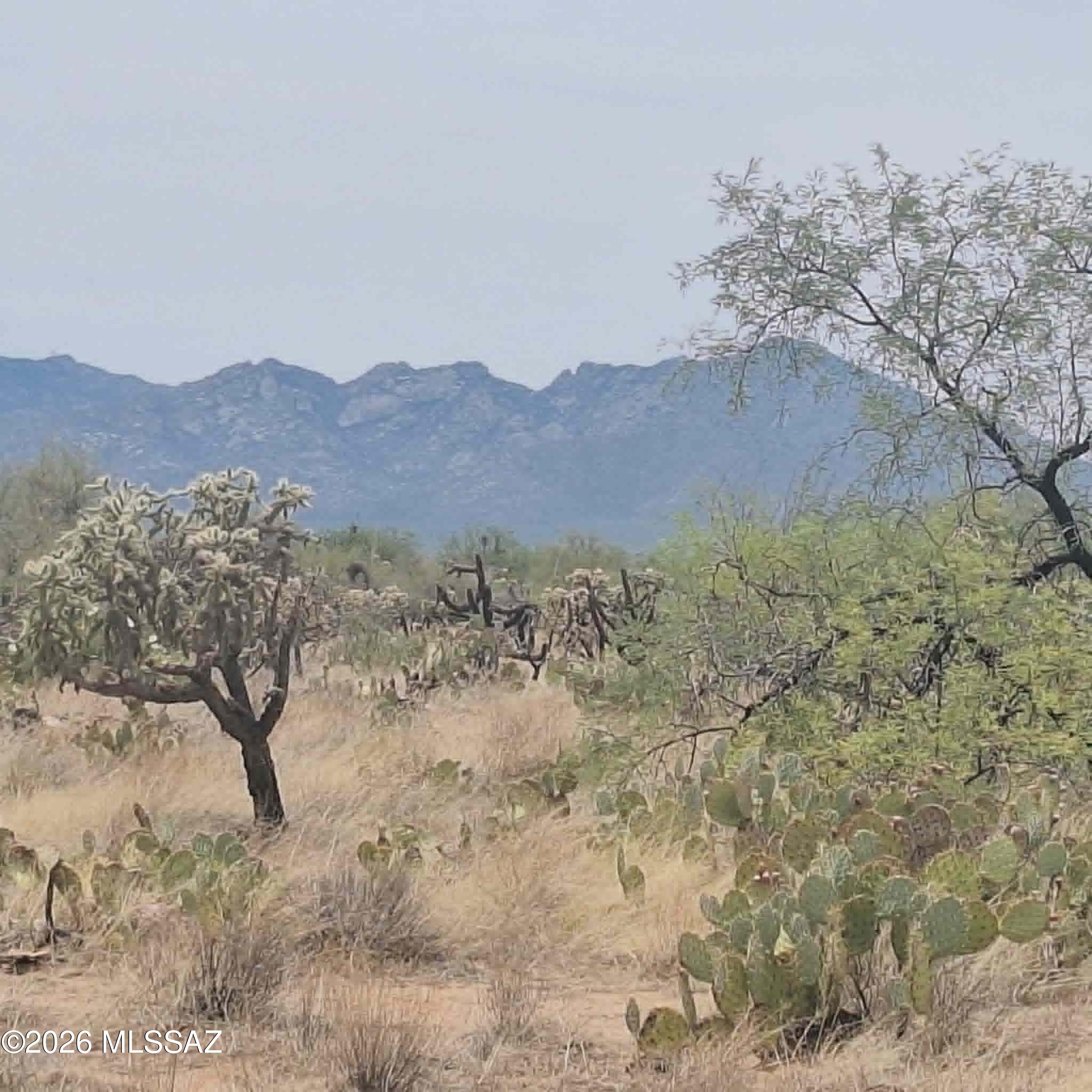 A Must-see 1+ acre lot in the desirable Diamond Bell Ranch community offering wide-open space, breathtaking 360° mountain views, and unforgettable Arizona sunsets. With no HOA, enjoy the freedom to live your lifestyle, horses are welcome, and you'll have miles of dirt roads ideal riding and exploring. This peaceful desert property offers plenty of room for your toys, future home plans, or a solid investment opportunity. Zoned CR-1 for site-built homes only, you can live off-grid with solar and hauled water or drill a well, with utilities expected in the future but not currently available. At approximately 3,455 ft elevation, the property enjoys slightly cooler temperatures and increased rainfall, all just 30 minutes from Tucson.