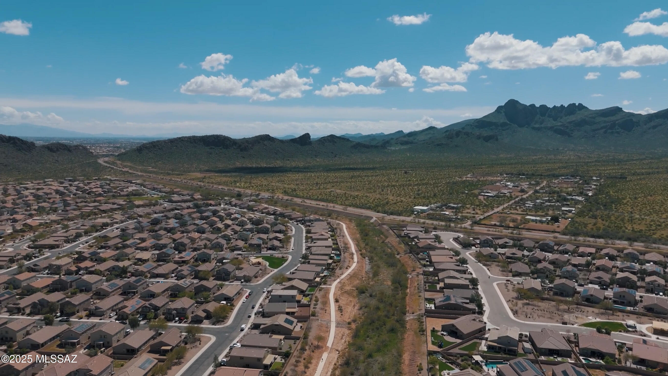 Saguaro Bloom SQ20180540069 - Residential