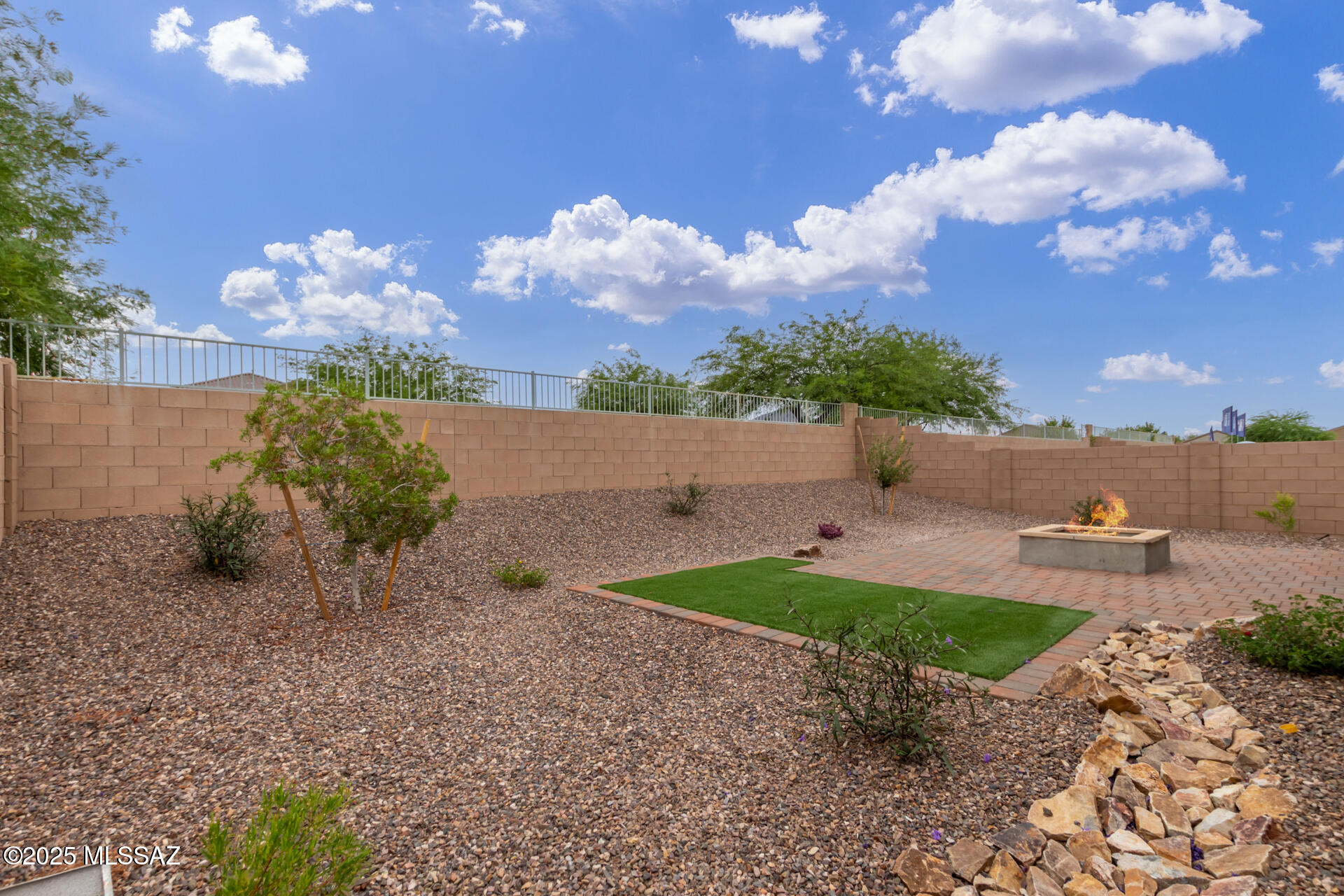 Saguaro Bloom SQ20180540069 - Residential