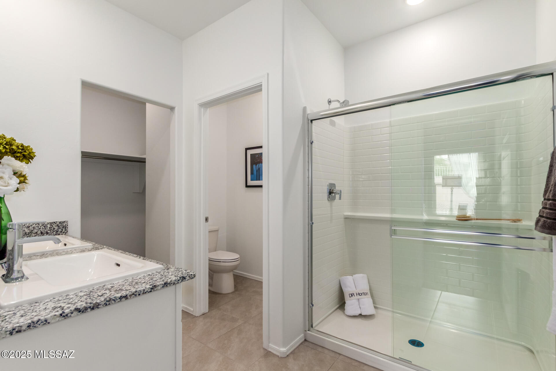 Saguaro Bloom SQ20180540069 - Residential