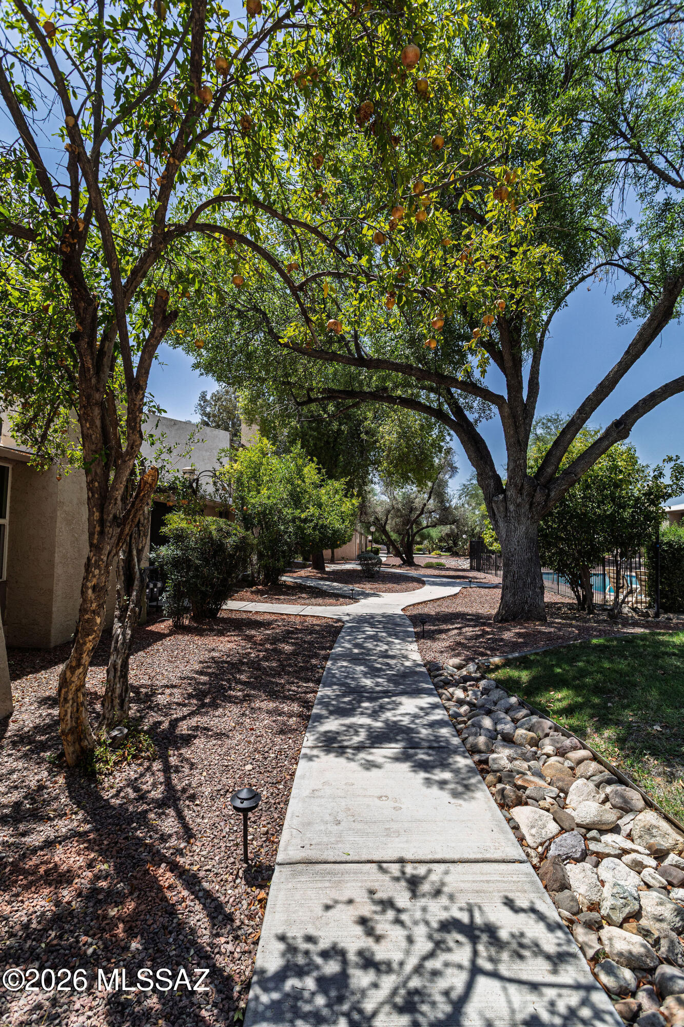 Pima Park (36-80) - Residential